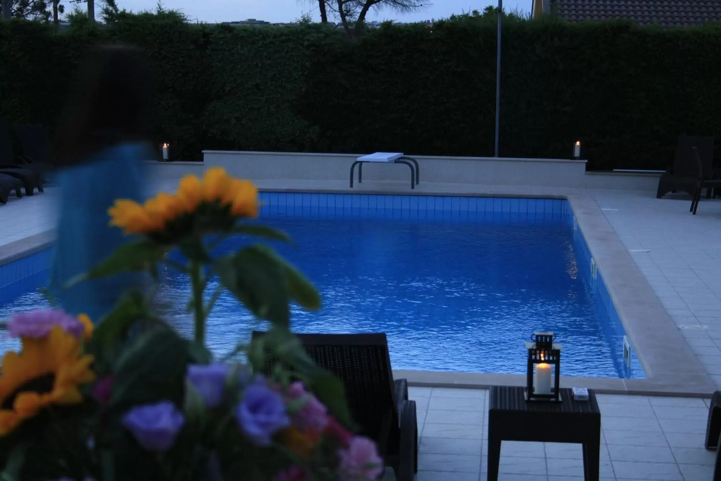 Swimming Pool in Villa Genny