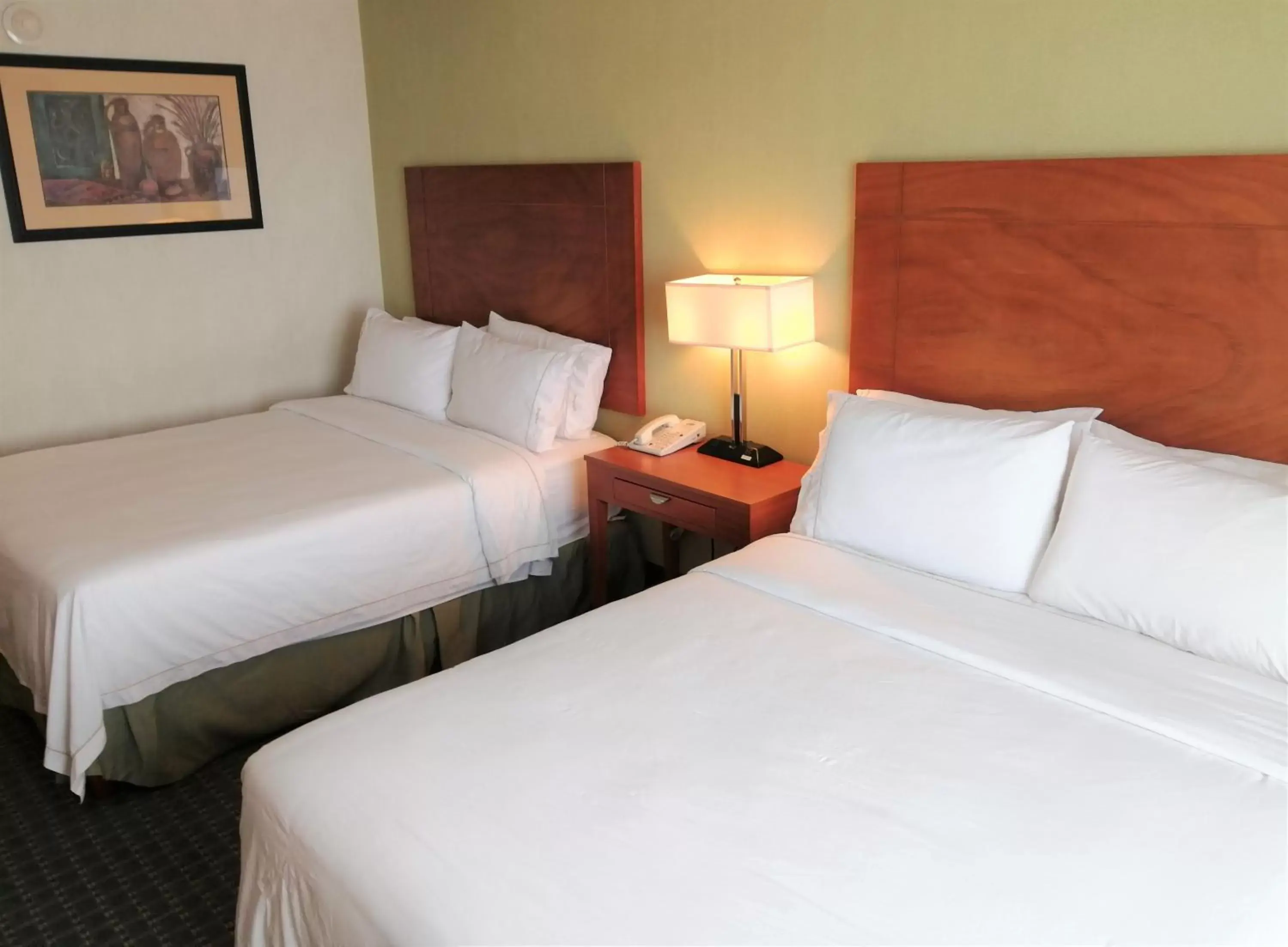 Bed in Holiday Inn Express & Suites Toluca Zona Aeropuerto, an IHG Hotel