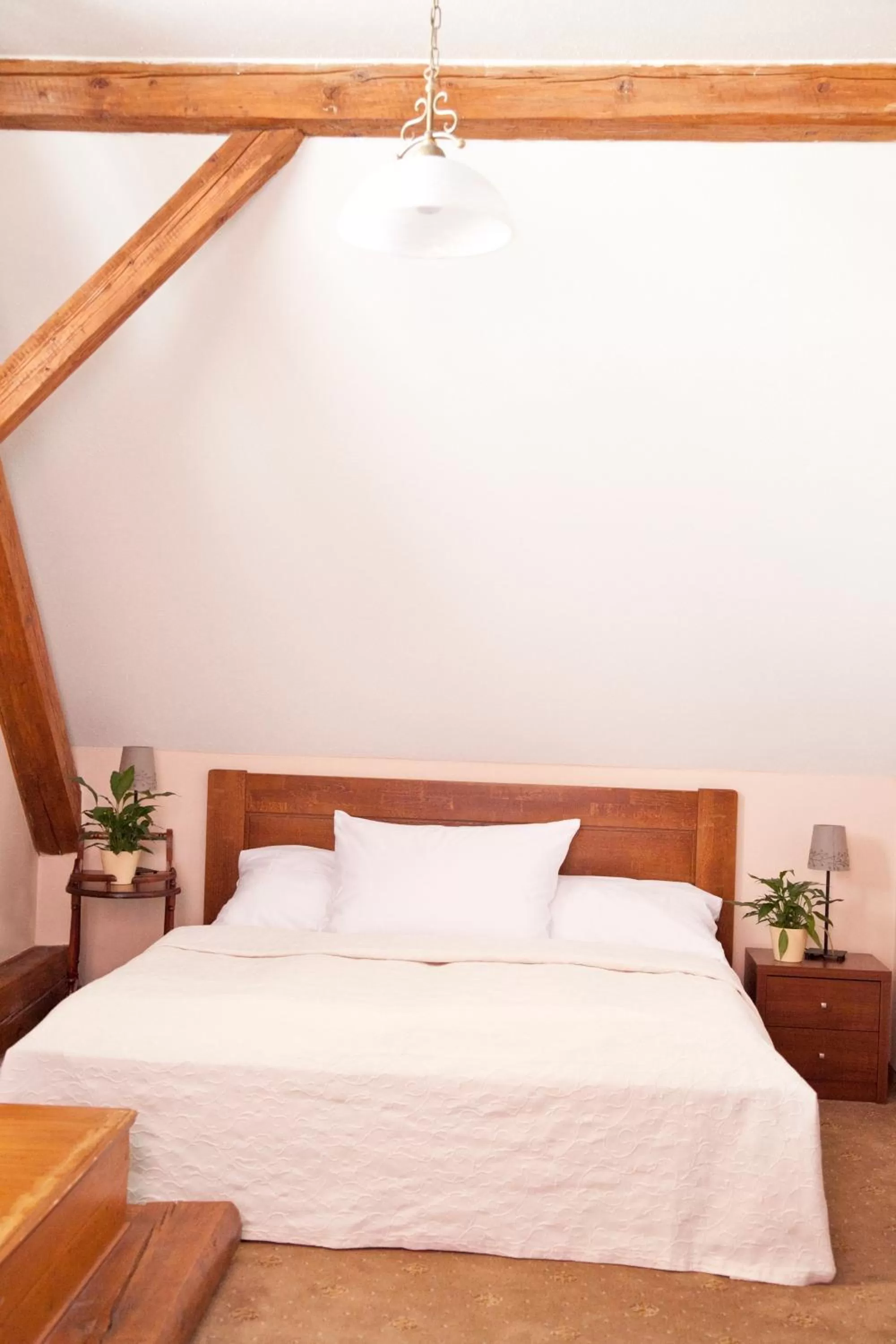 Bed in Hotel U Zlatého Lva