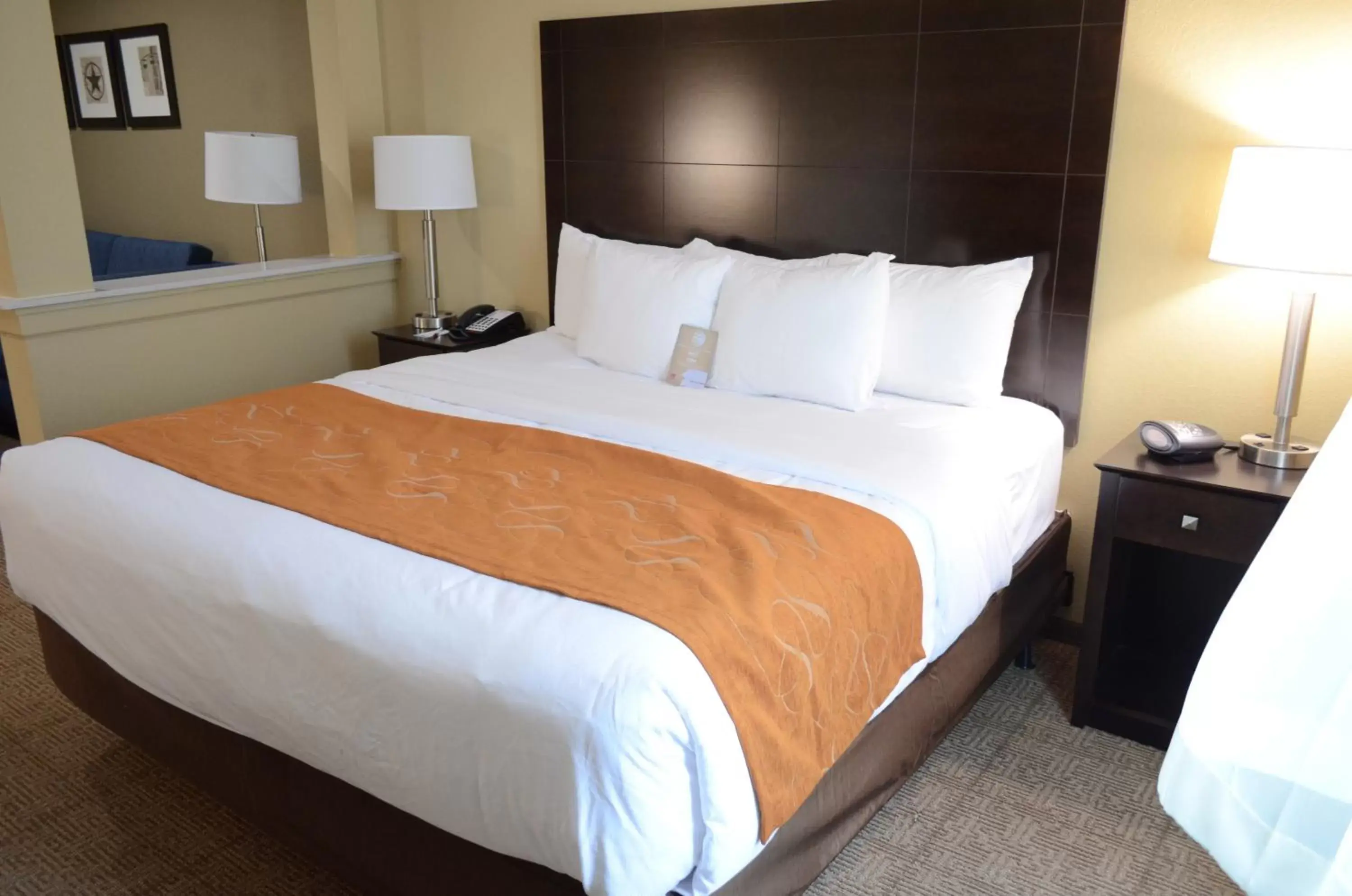 Efficiency King Suite - Accessible/Non-Smoking in Comfort Suites Houston Northwest Cy-Fair