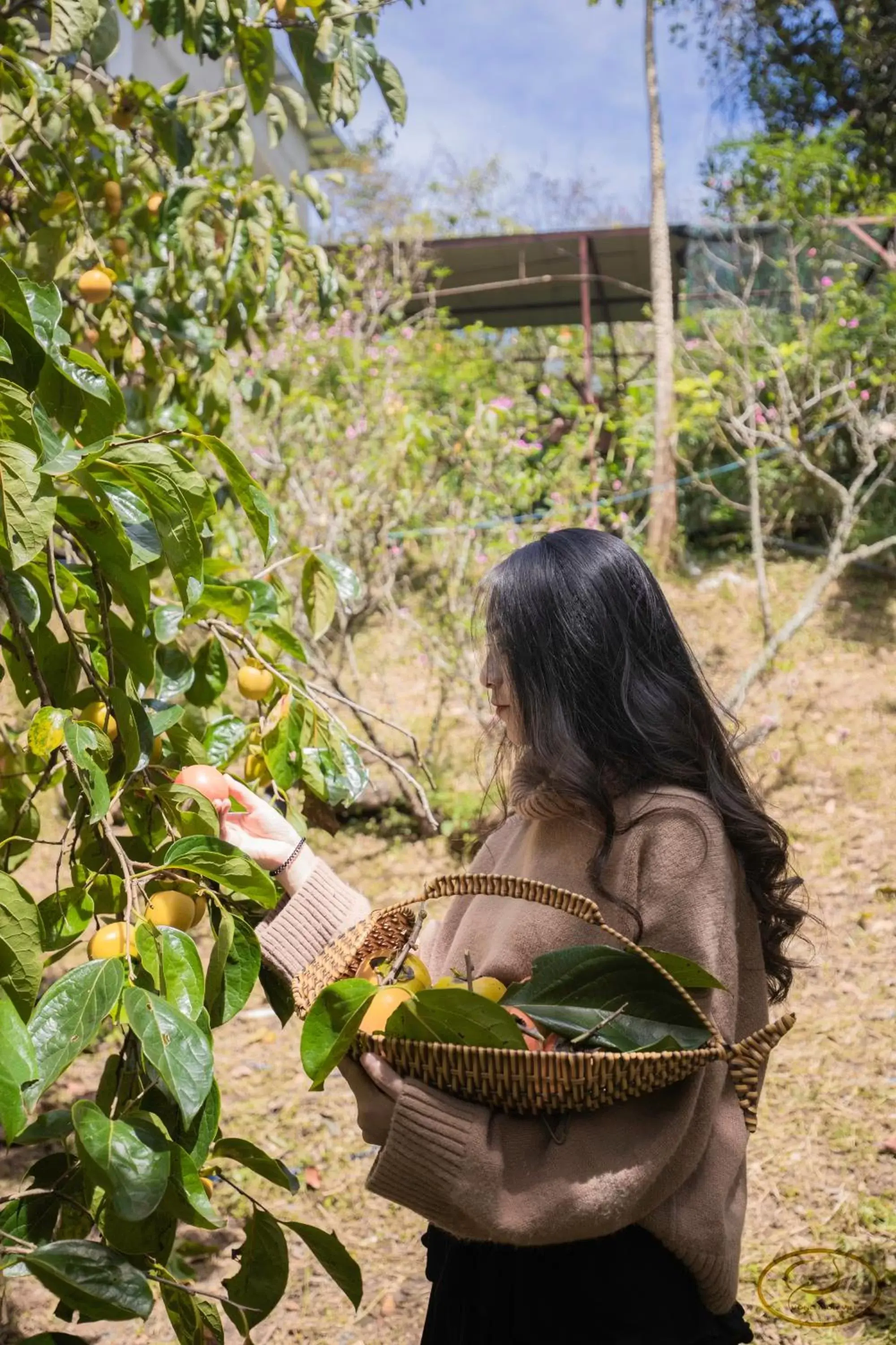 Natural landscape in Hong Mon Villa