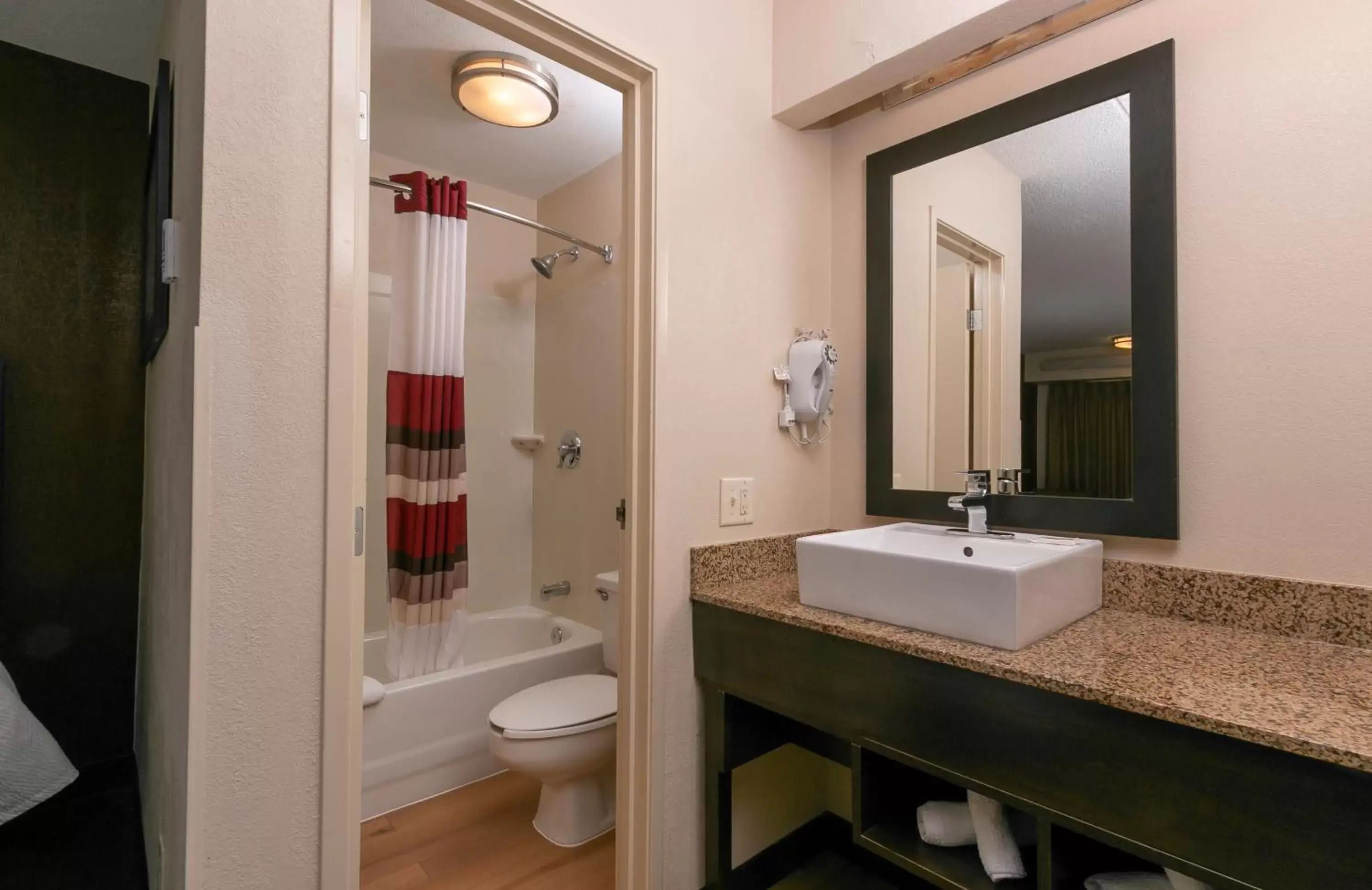 Bathroom in Red Roof Inn PLUS+ Baltimore - Washington DC/BWI South