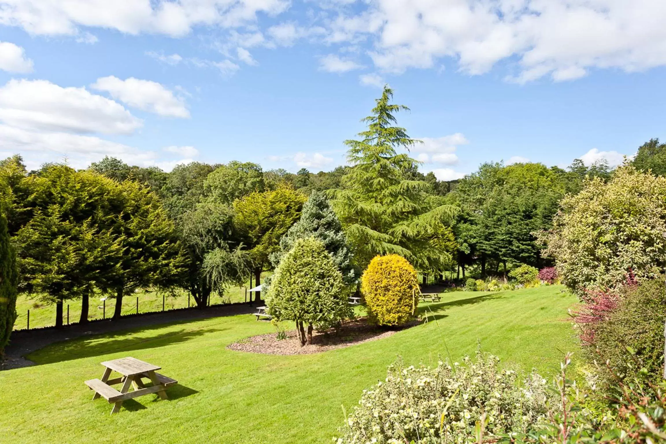 Garden in Craig Manor