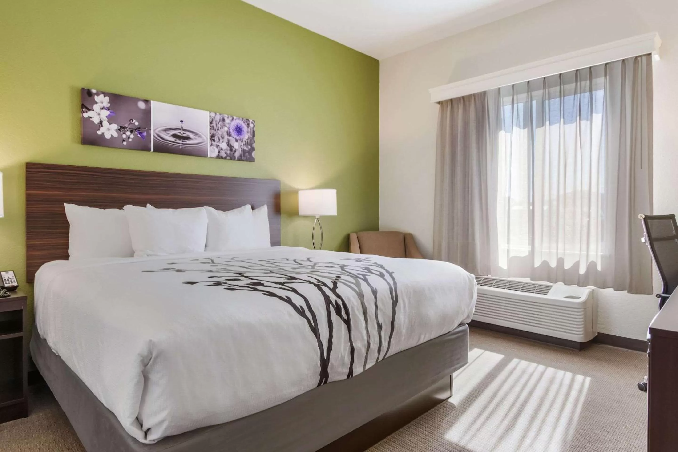 Photo of the whole room, Bed in Sleep Inn Boardman