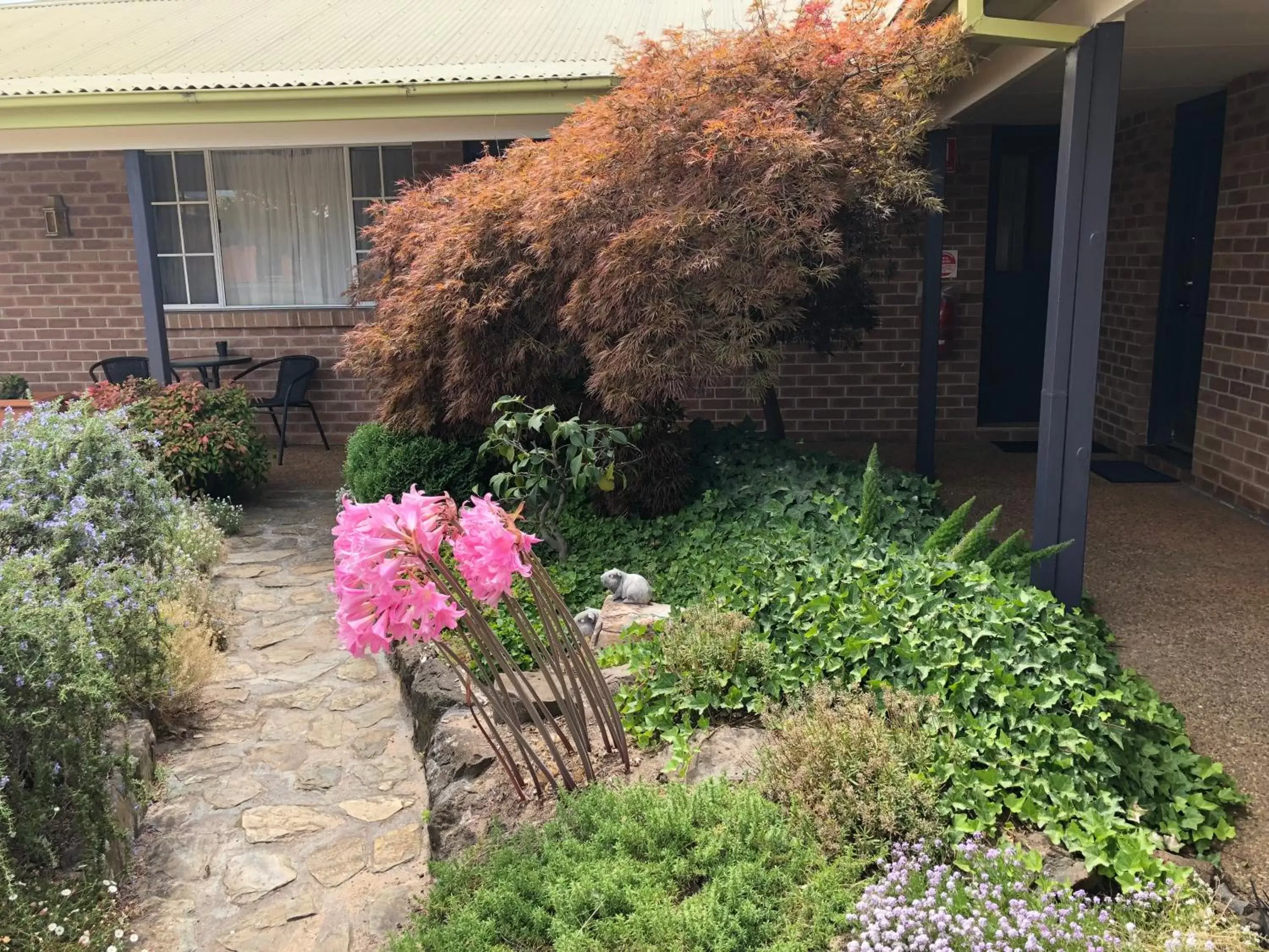 Garden in Highlands Motor Inn