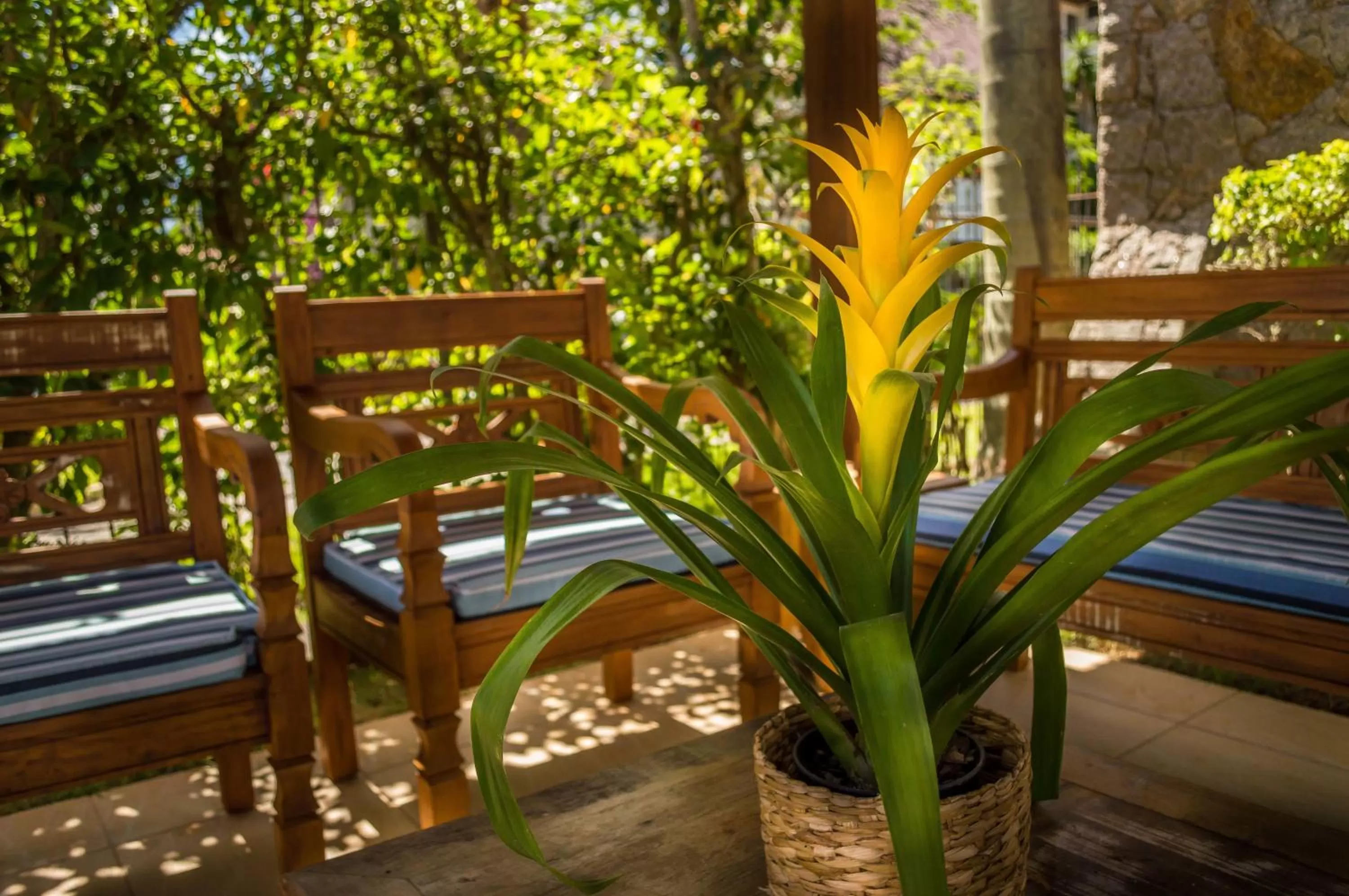 Decorative detail in Village Paraíso