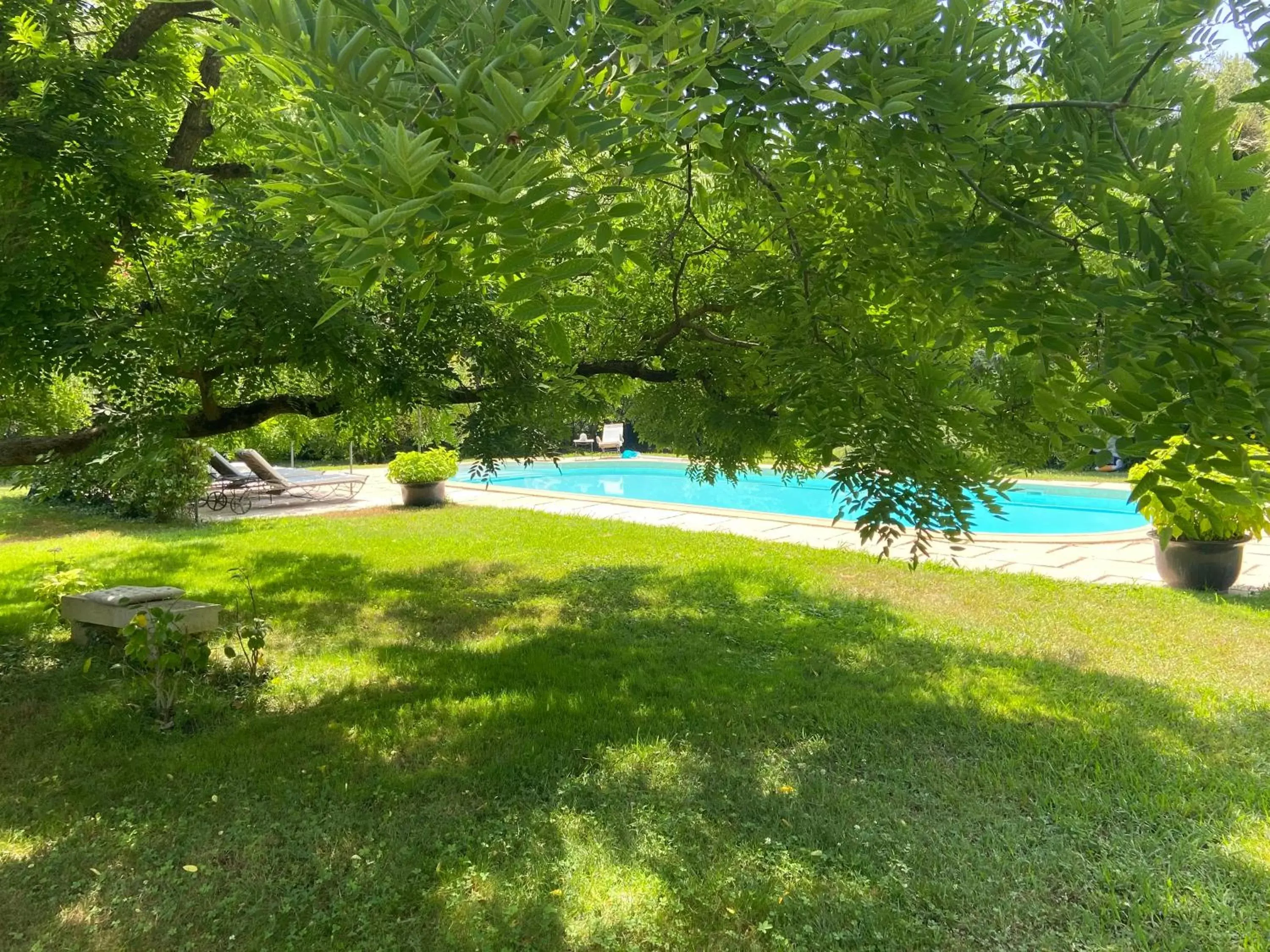 Spring, Swimming Pool in Villa de Miha