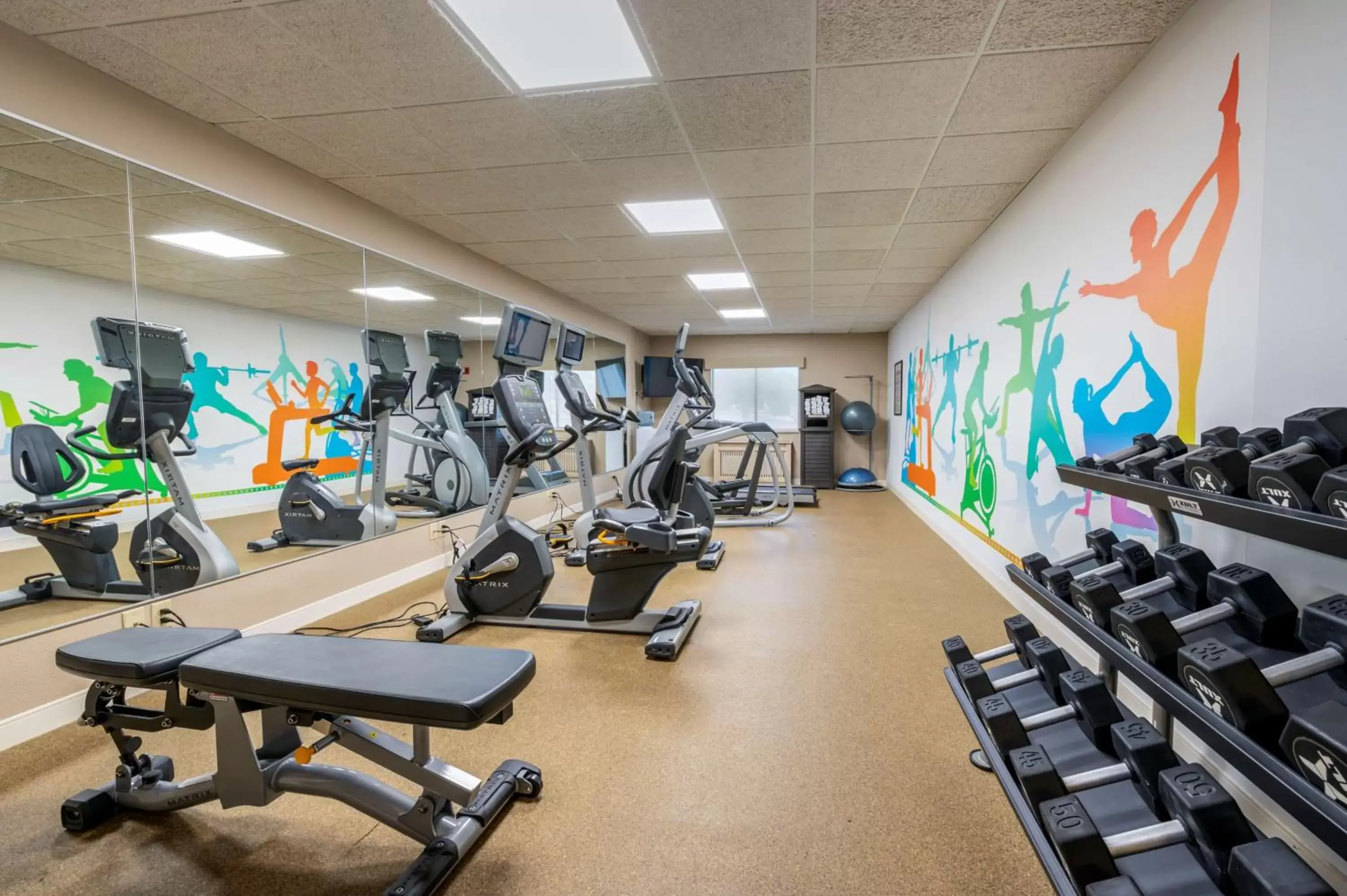 Fitness centre/facilities, Fitness Center/Facilities in Best Western Plus Warsaw