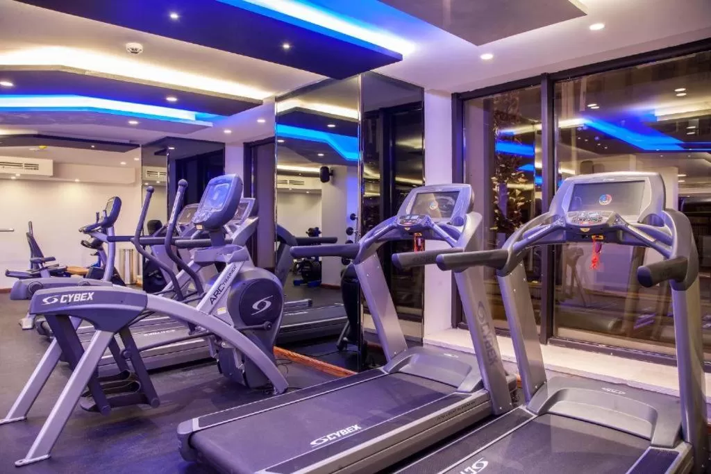 Fitness centre/facilities, Fitness Center/Facilities in Harir Palace Hotel