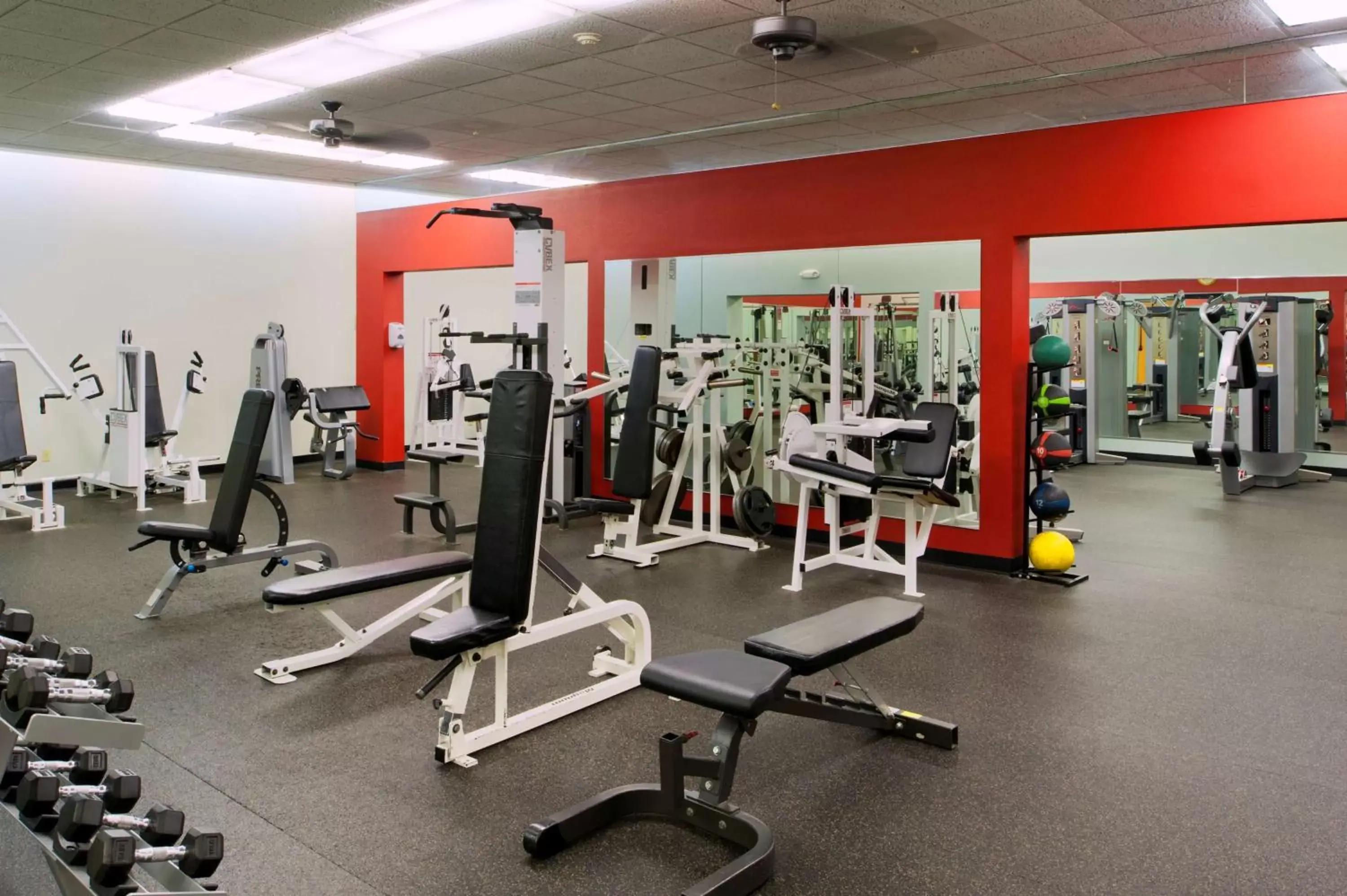 Fitness centre/facilities, Fitness Center/Facilities in DoubleTree by Hilton Hotel St. Louis - Chesterfield