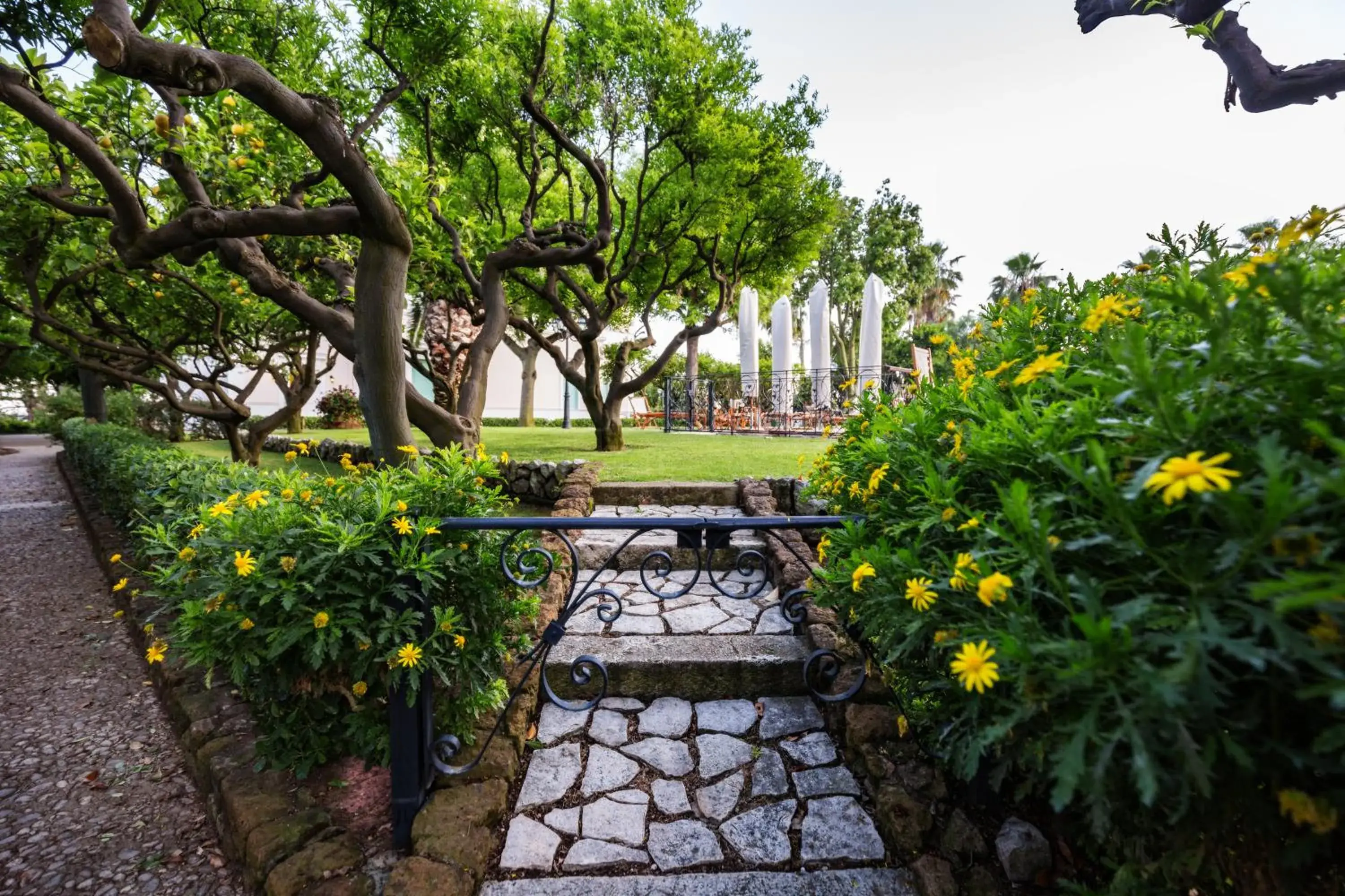 Natural landscape, Garden in Villa Irlanda Grand Hotel