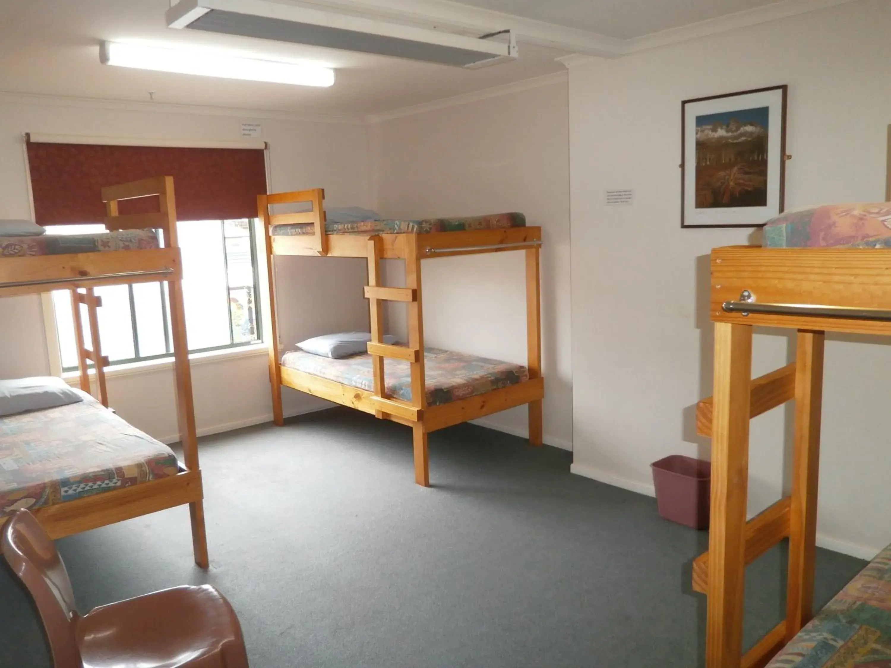 Bedroom, Bunk Bed in Launceston Backpackers