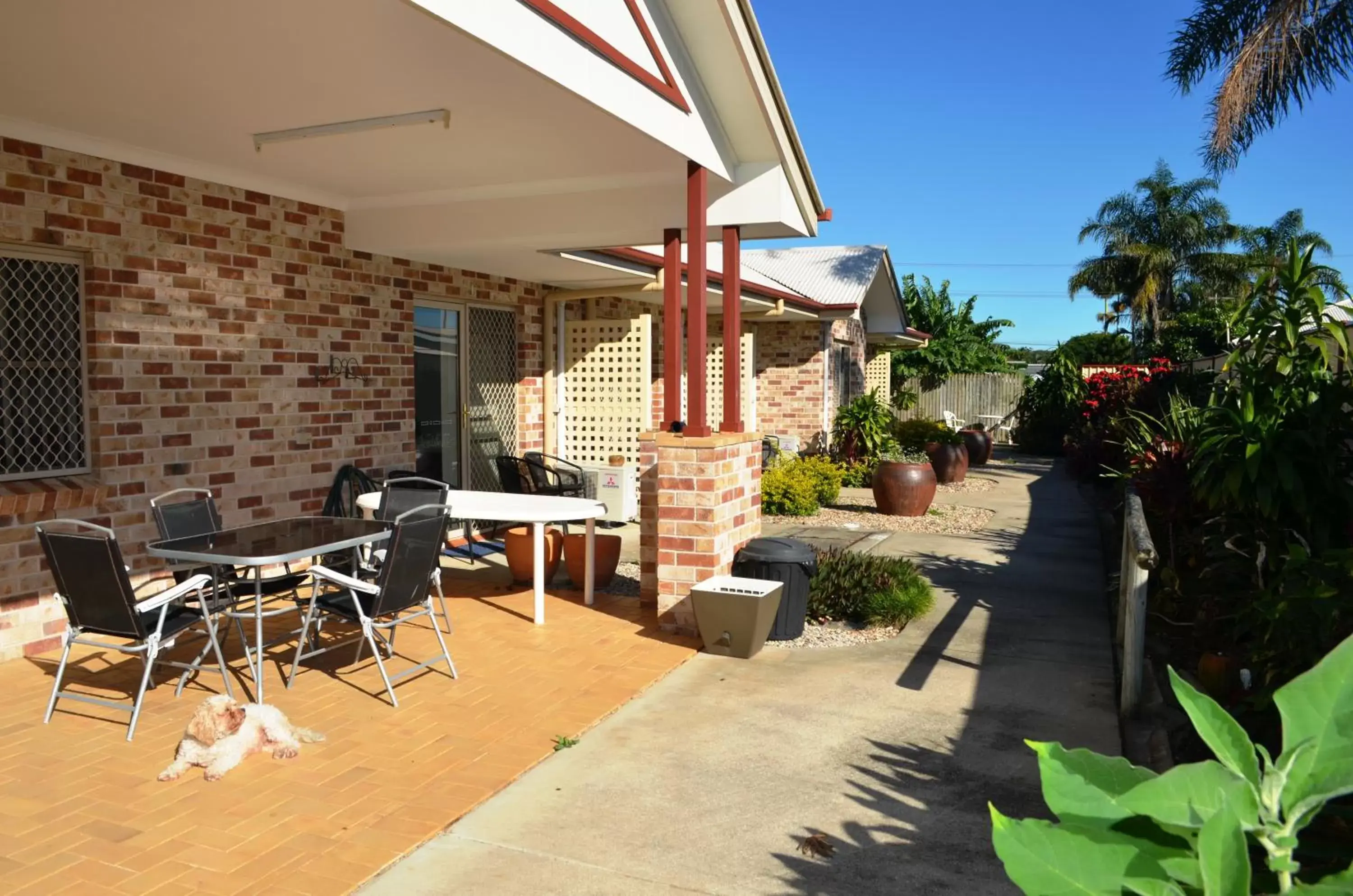 Pets in Redland Bay Motel