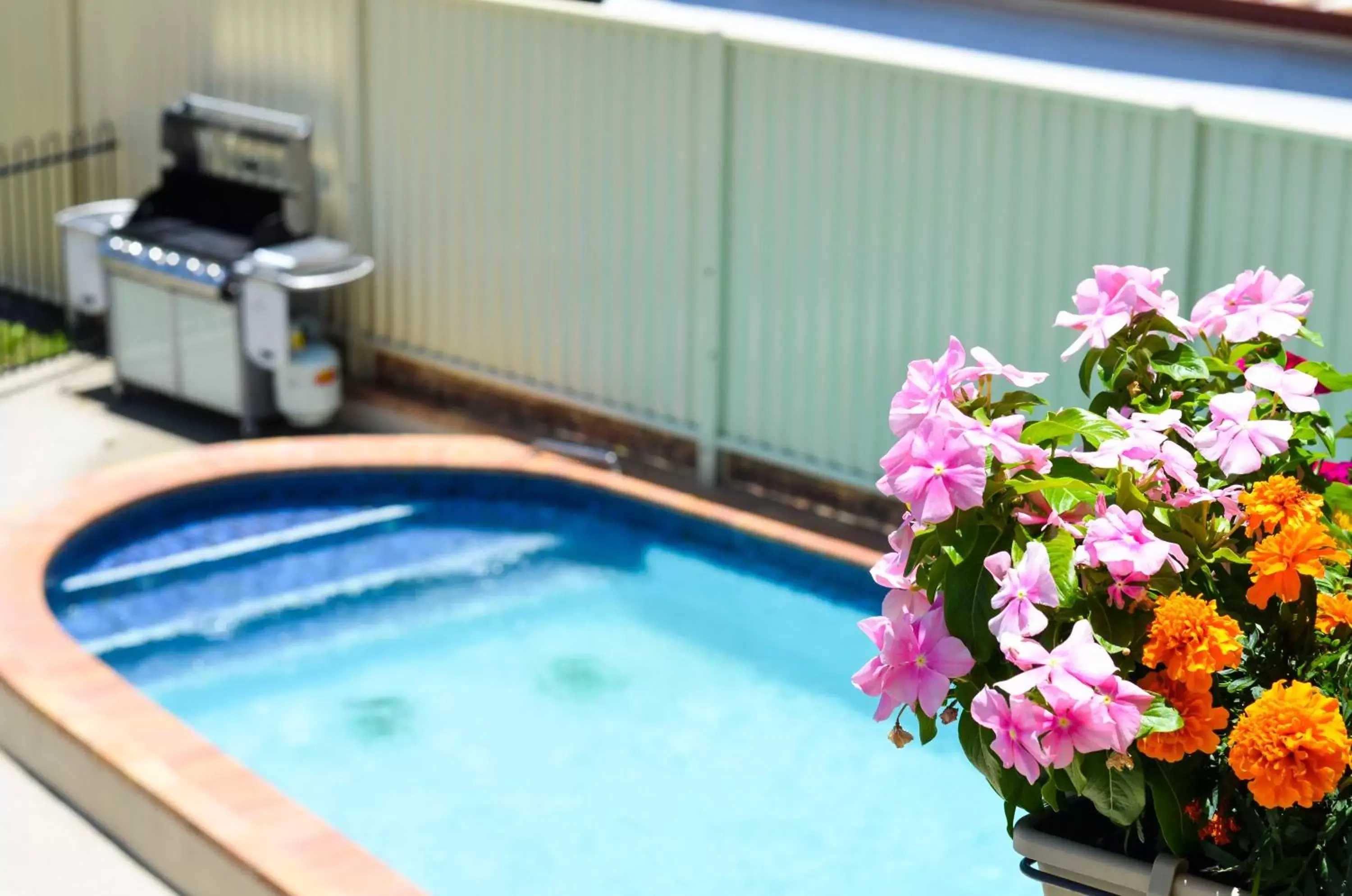 Swimming Pool in Golden Beach Motor Inn