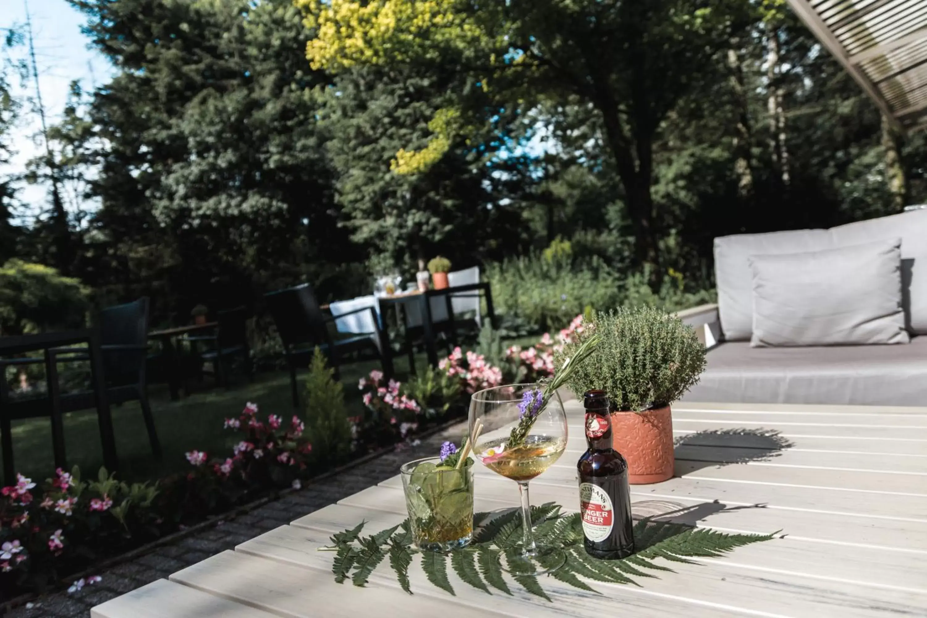 Balcony/Terrace in Witte Berken Natuurhotel