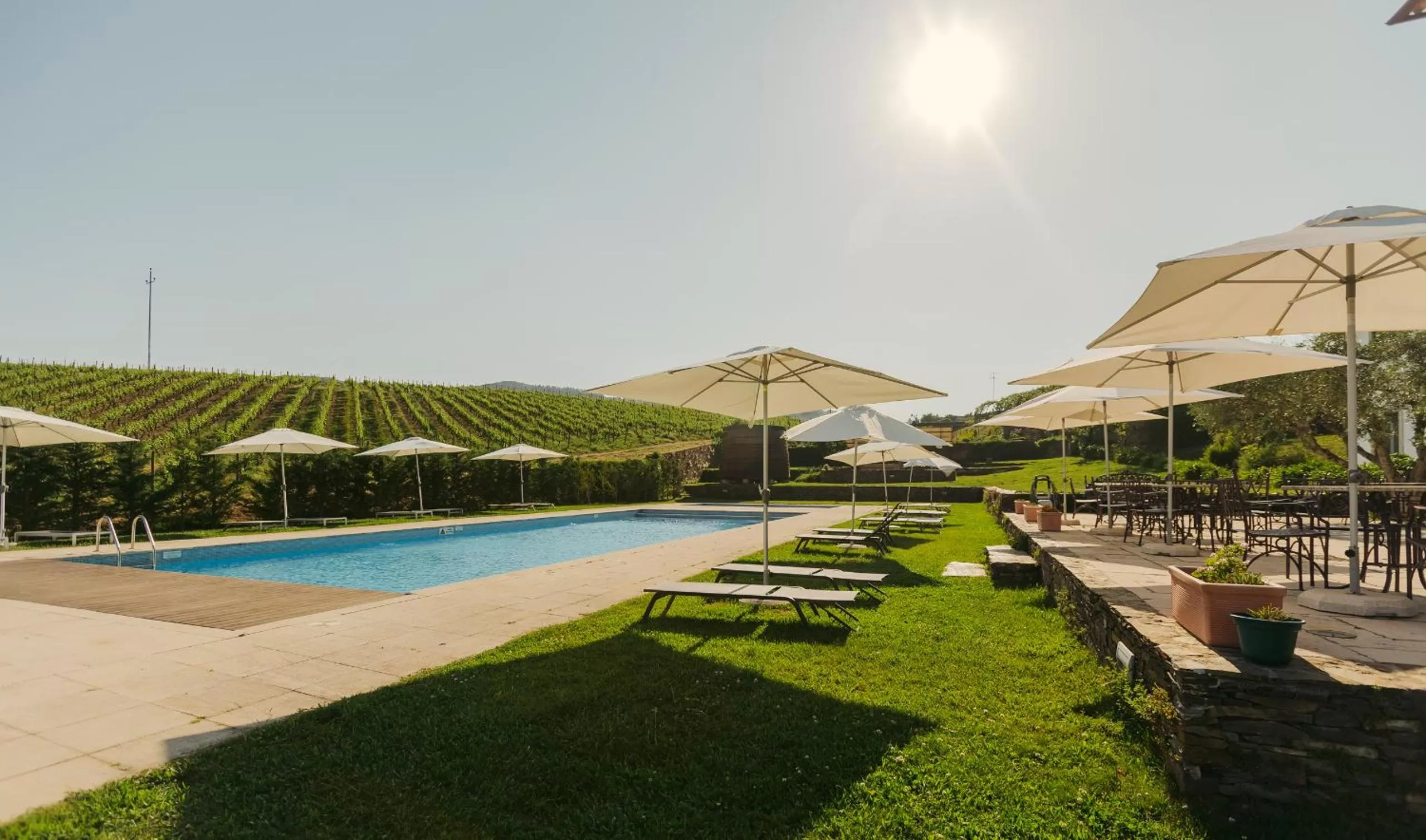 Garden, Swimming Pool in Casa das Pipas / Quinta do Portal
