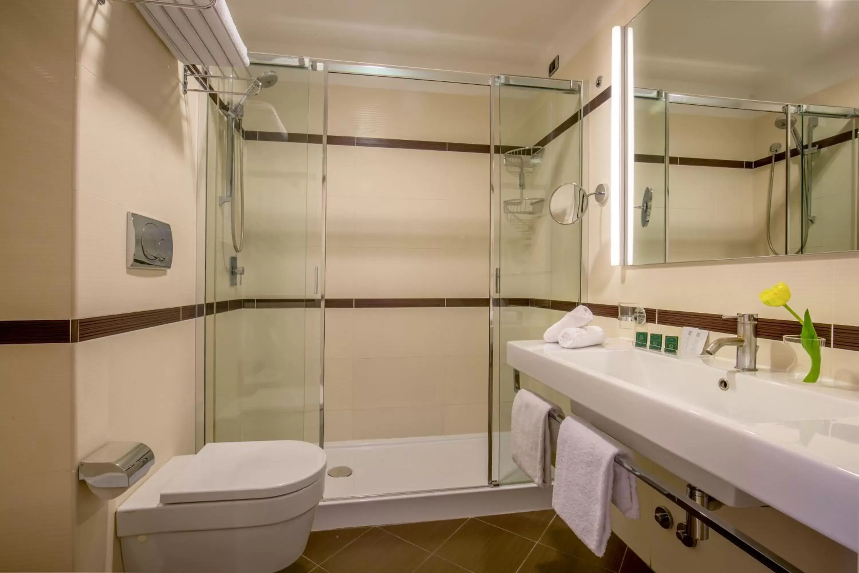 Shower, Bathroom in Hotel Sonya
