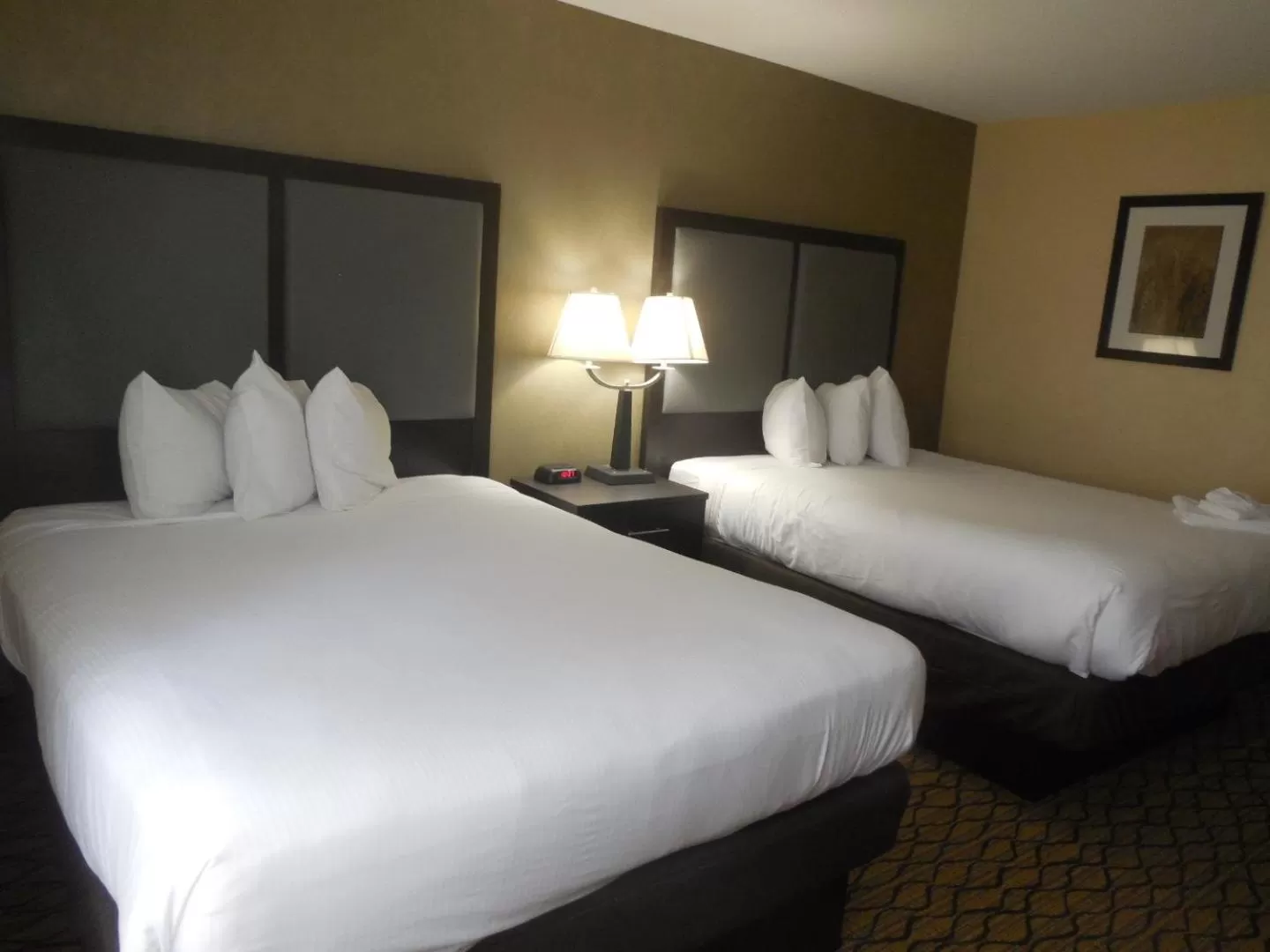 Photo of the whole room, Bed in Baymont by Wyndham Bridgeport/Frankenmuth