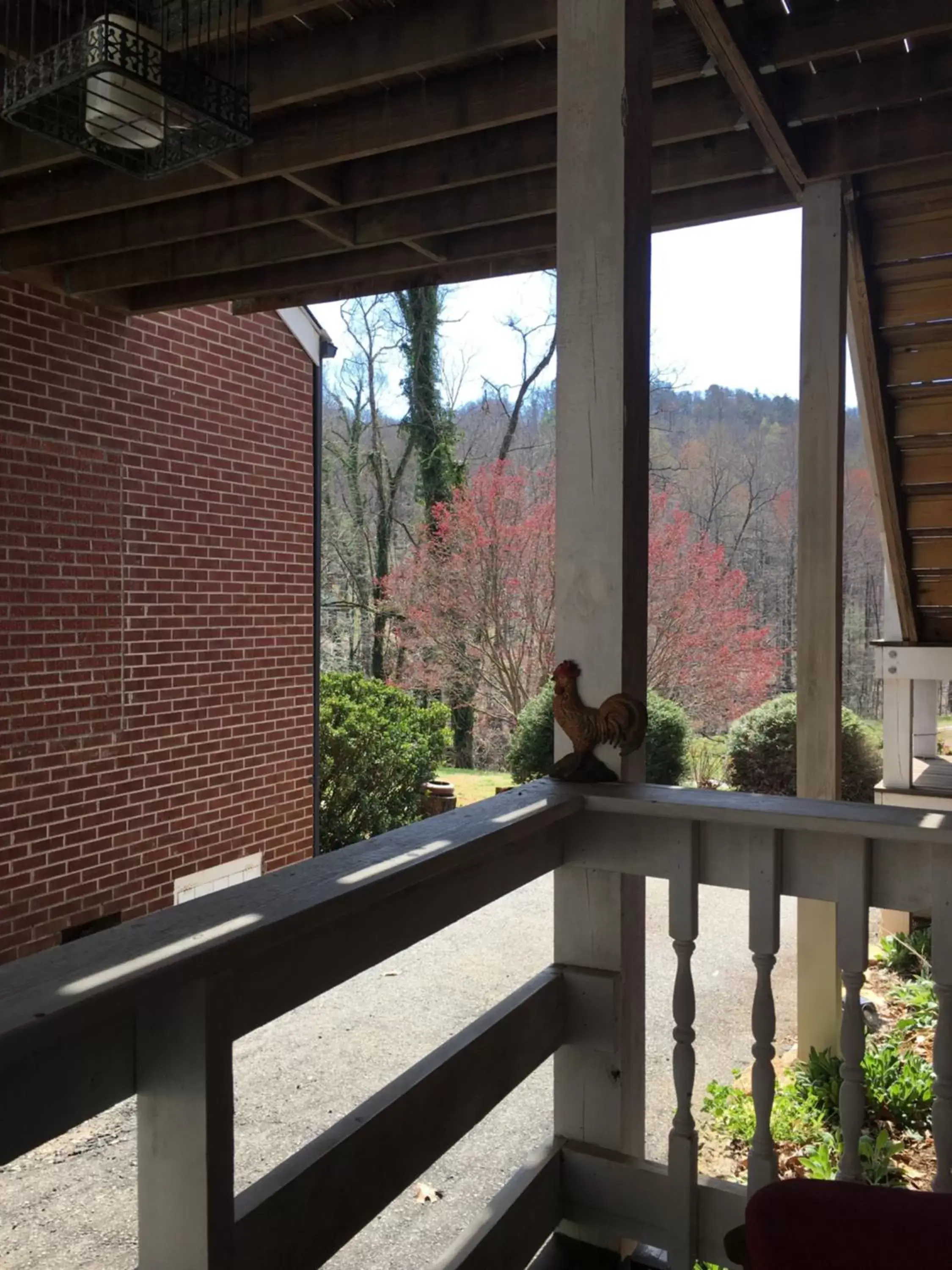 Balcony/Terrace in Grafton Lodge