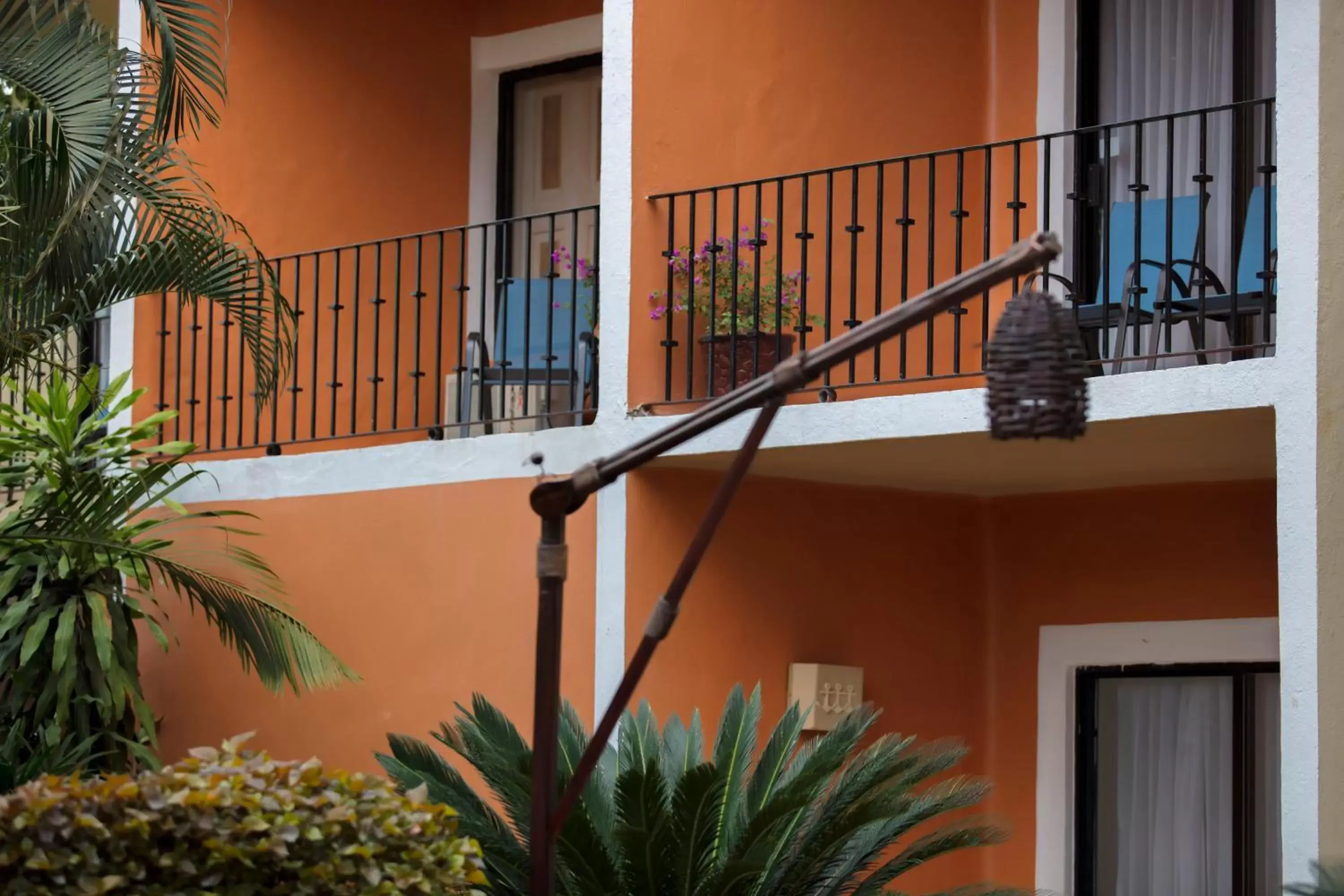 Balcony/Terrace, Property Building in Flamingo Vallarta Hotel & Marina