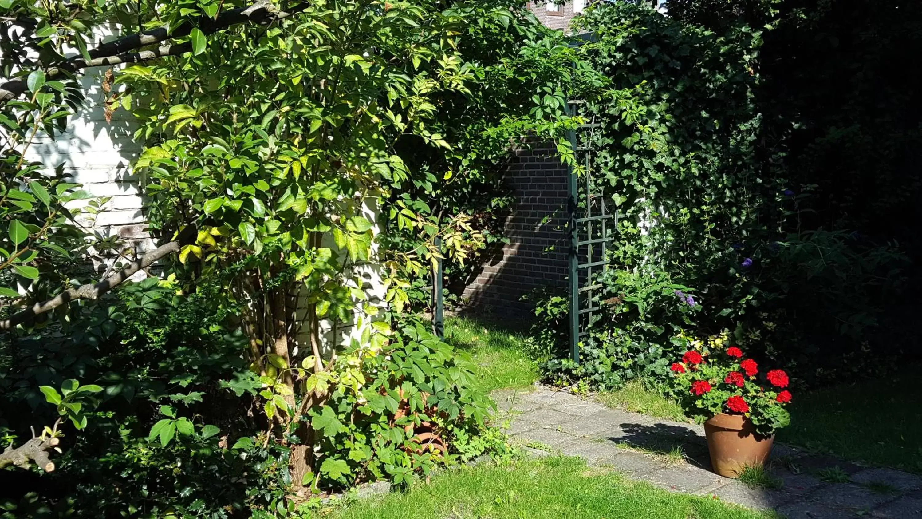 Garden in Hotel Kuiperduin