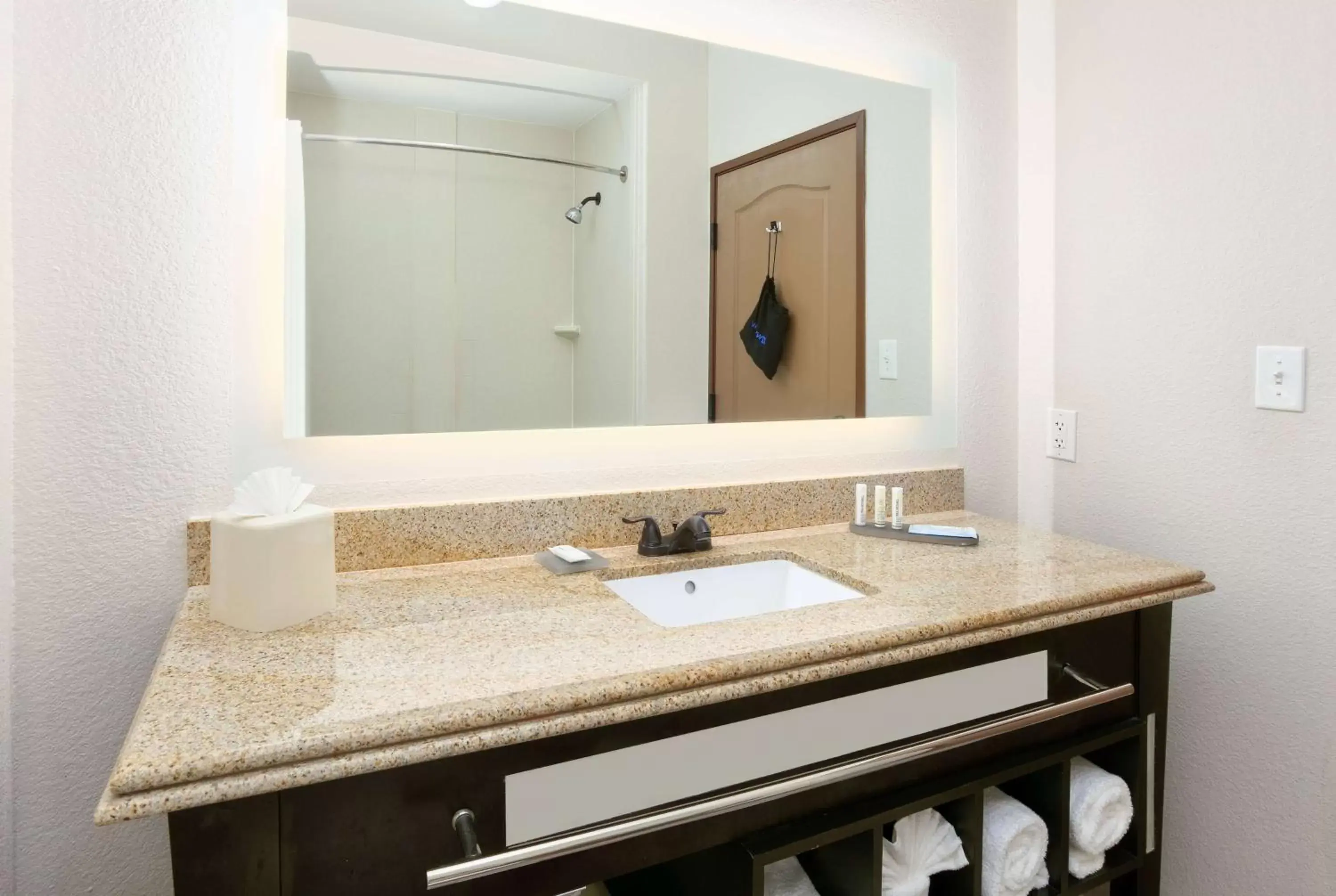 TV and multimedia, Bathroom in La Quinta by Wyndham Dallas Grand Prairie South