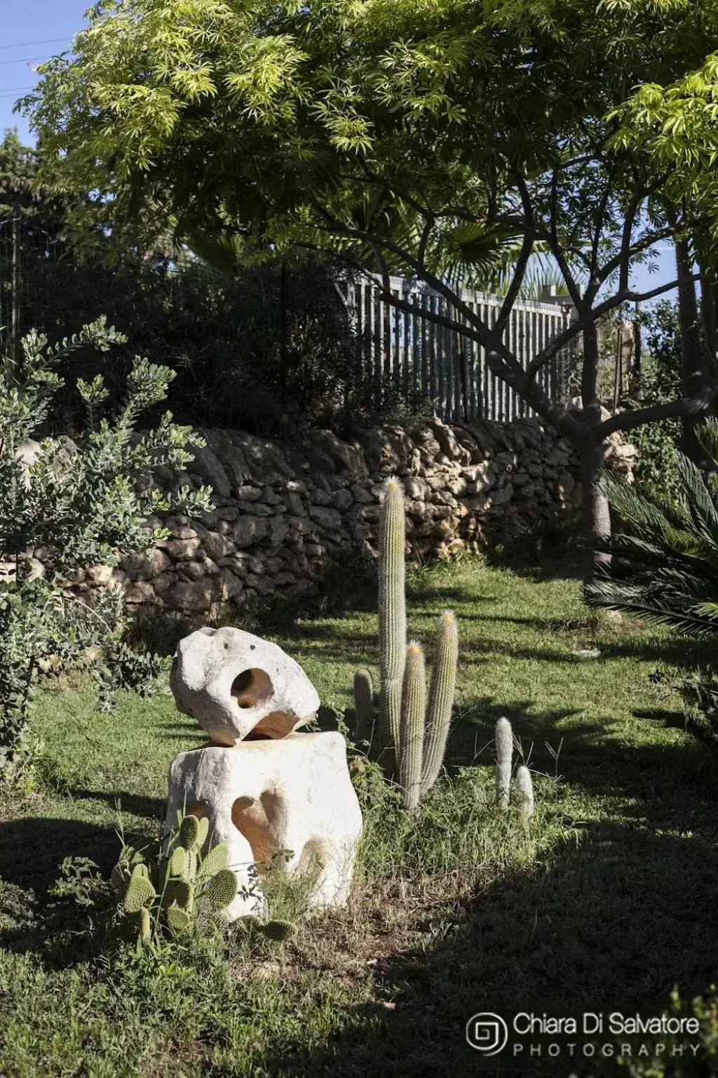 Garden in B&B Villa Francesco