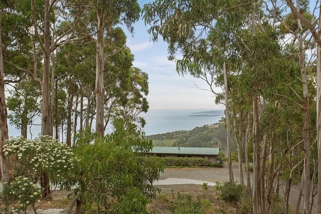 Natural landscape in Beacon Point Ocean View Villas