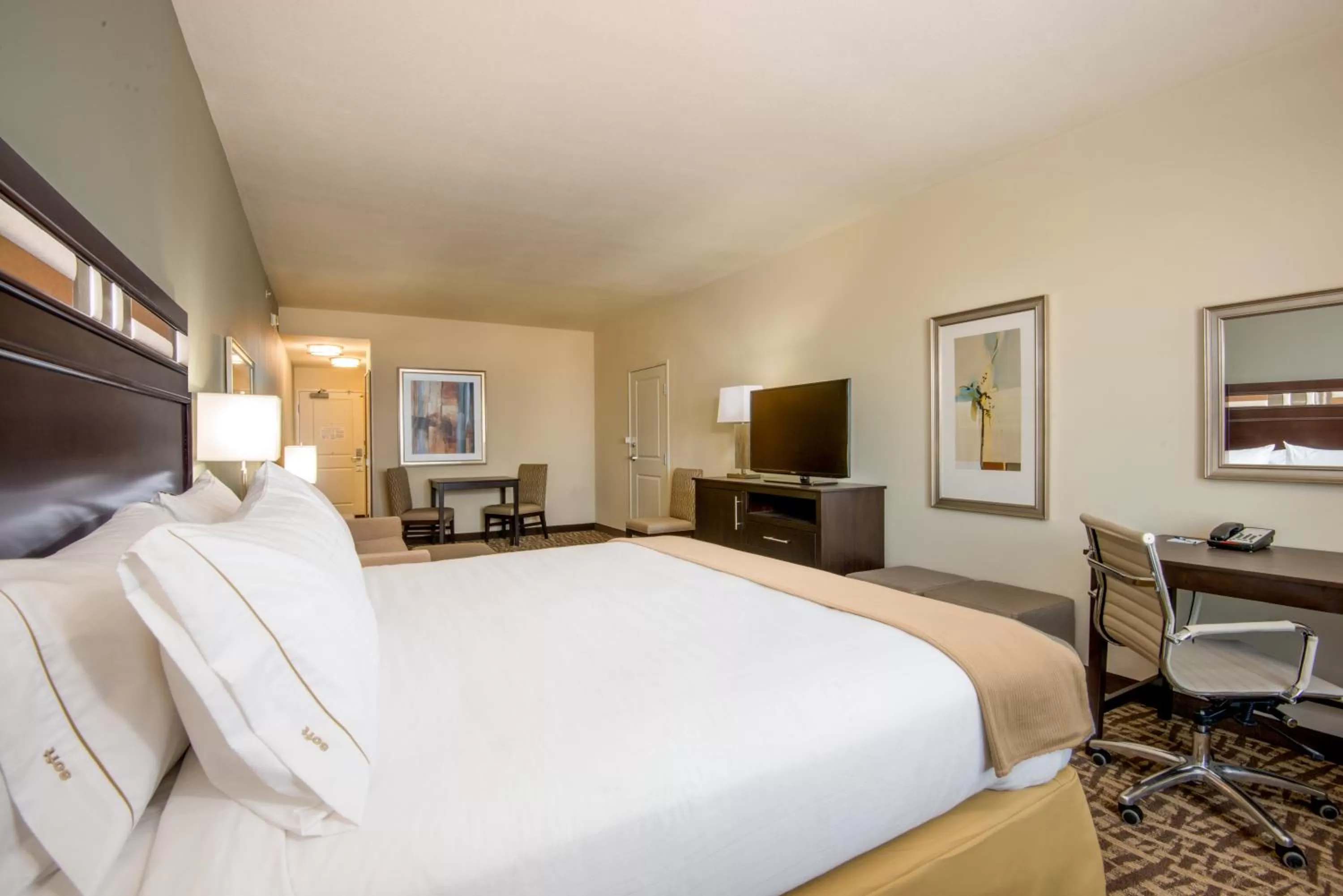 Photo of the whole room, Bed in Holiday Inn Express & Suites Denver South - Castle Rock by IHG