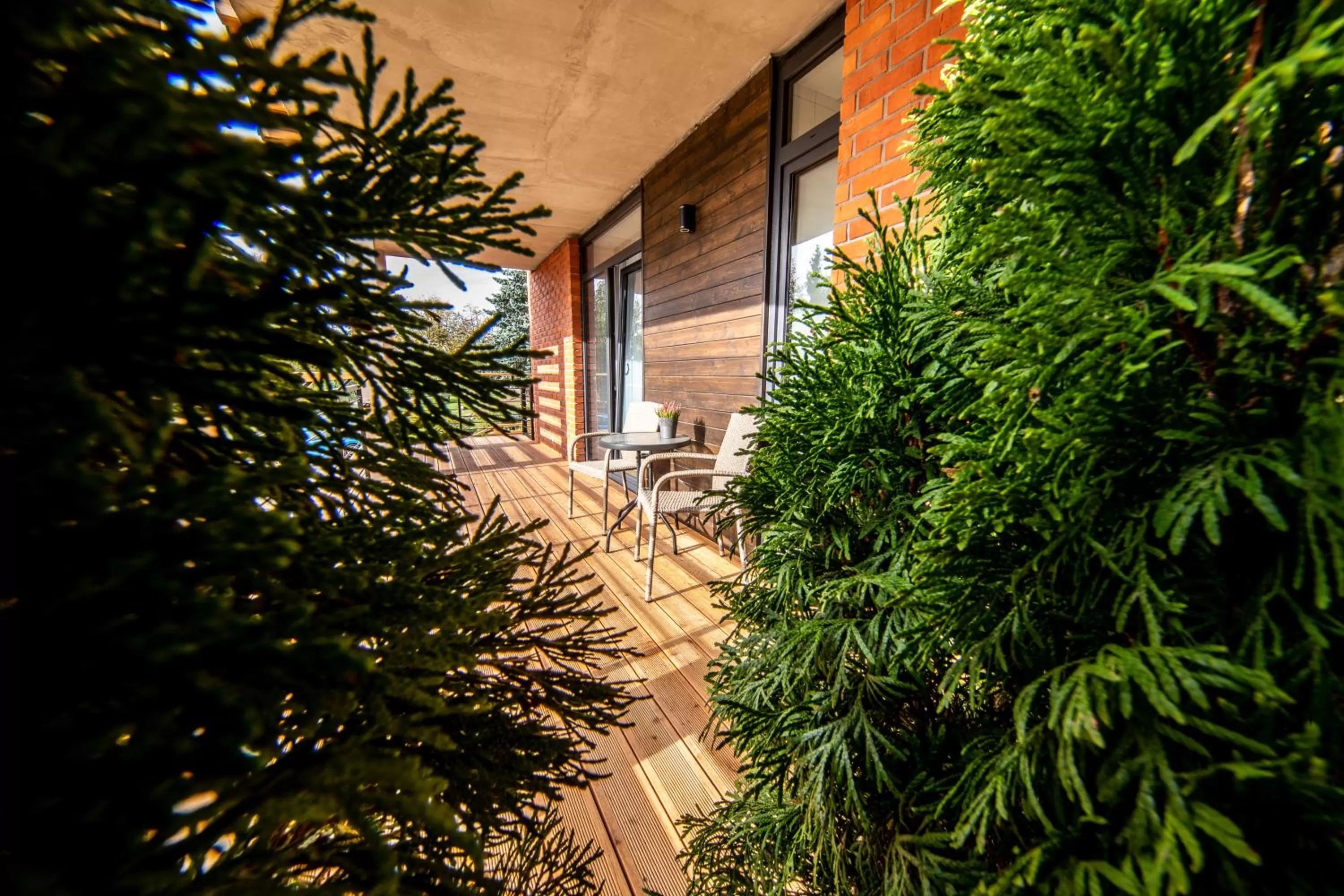 Balcony/Terrace in Róża Wiatrów