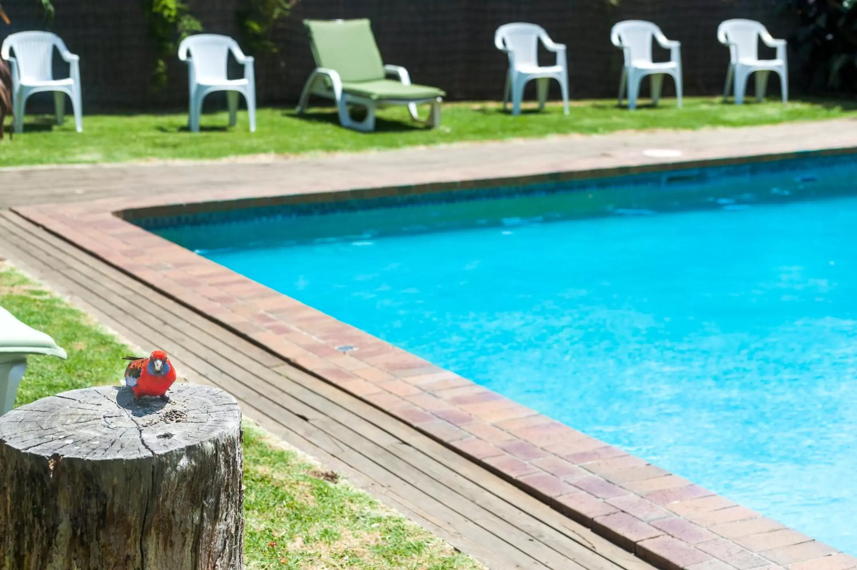 Swimming Pool in Motel Marengo