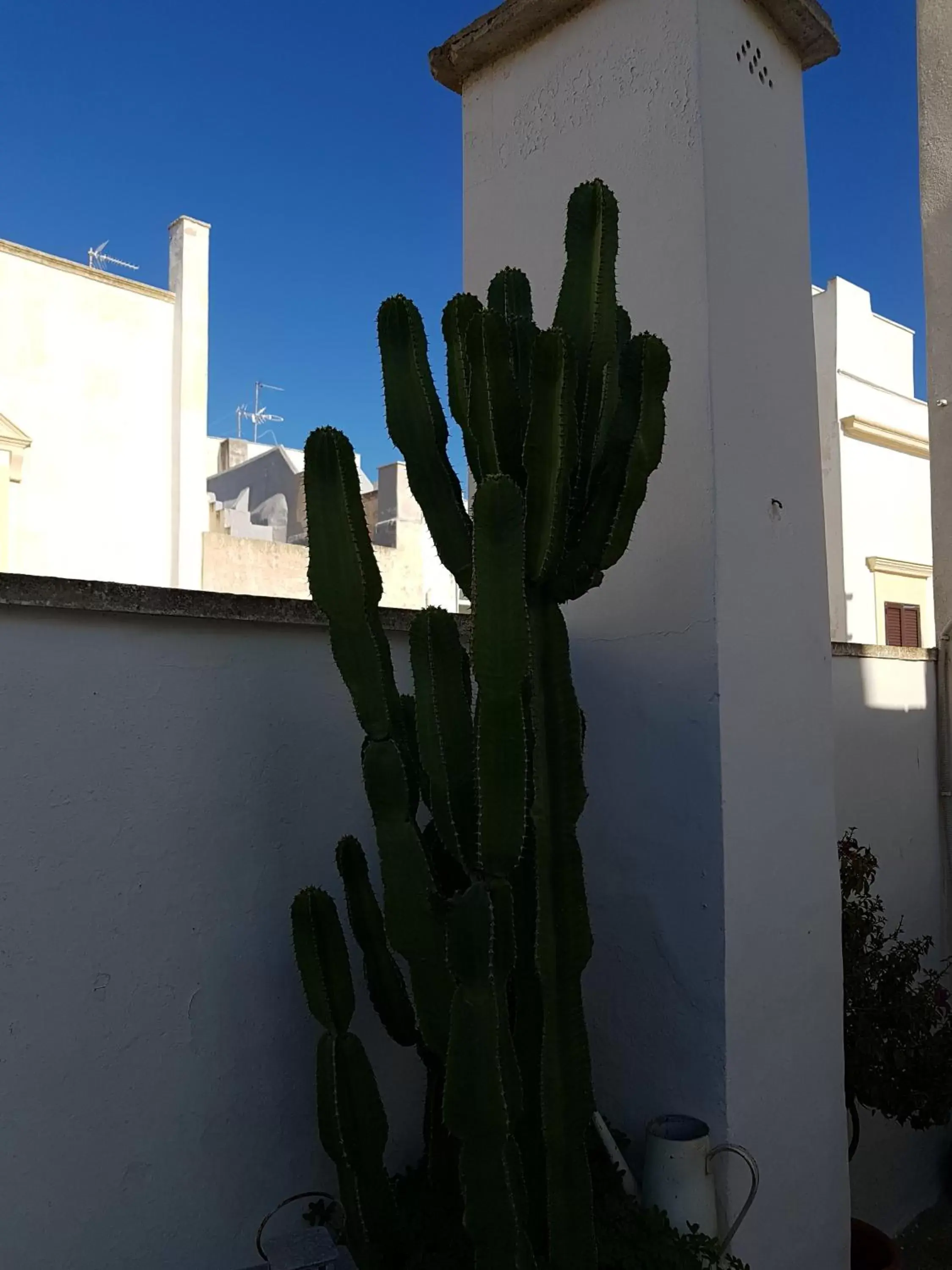 Balcony/Terrace, Property Building in Corte Moline