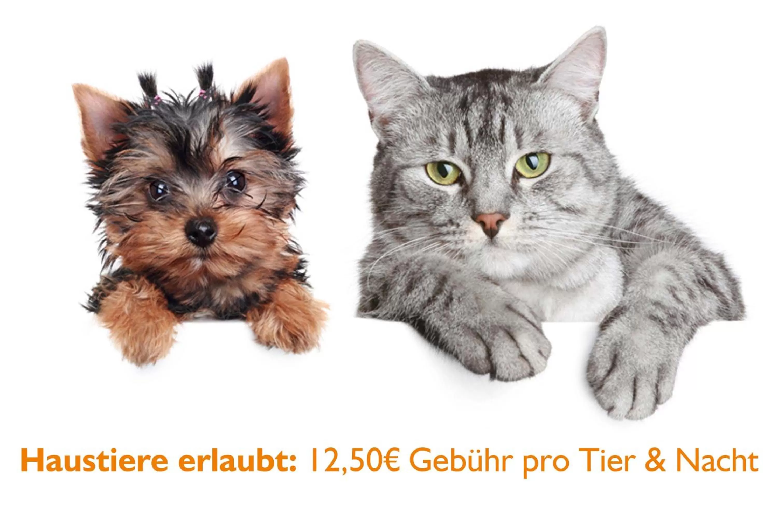 Pets in SeeHotel Großräschen