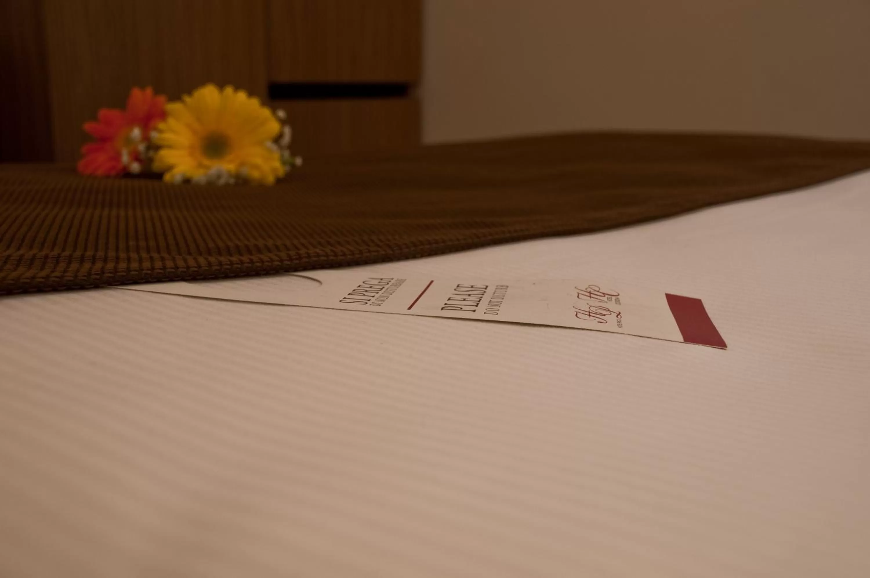 Bed in Hotel Concordia