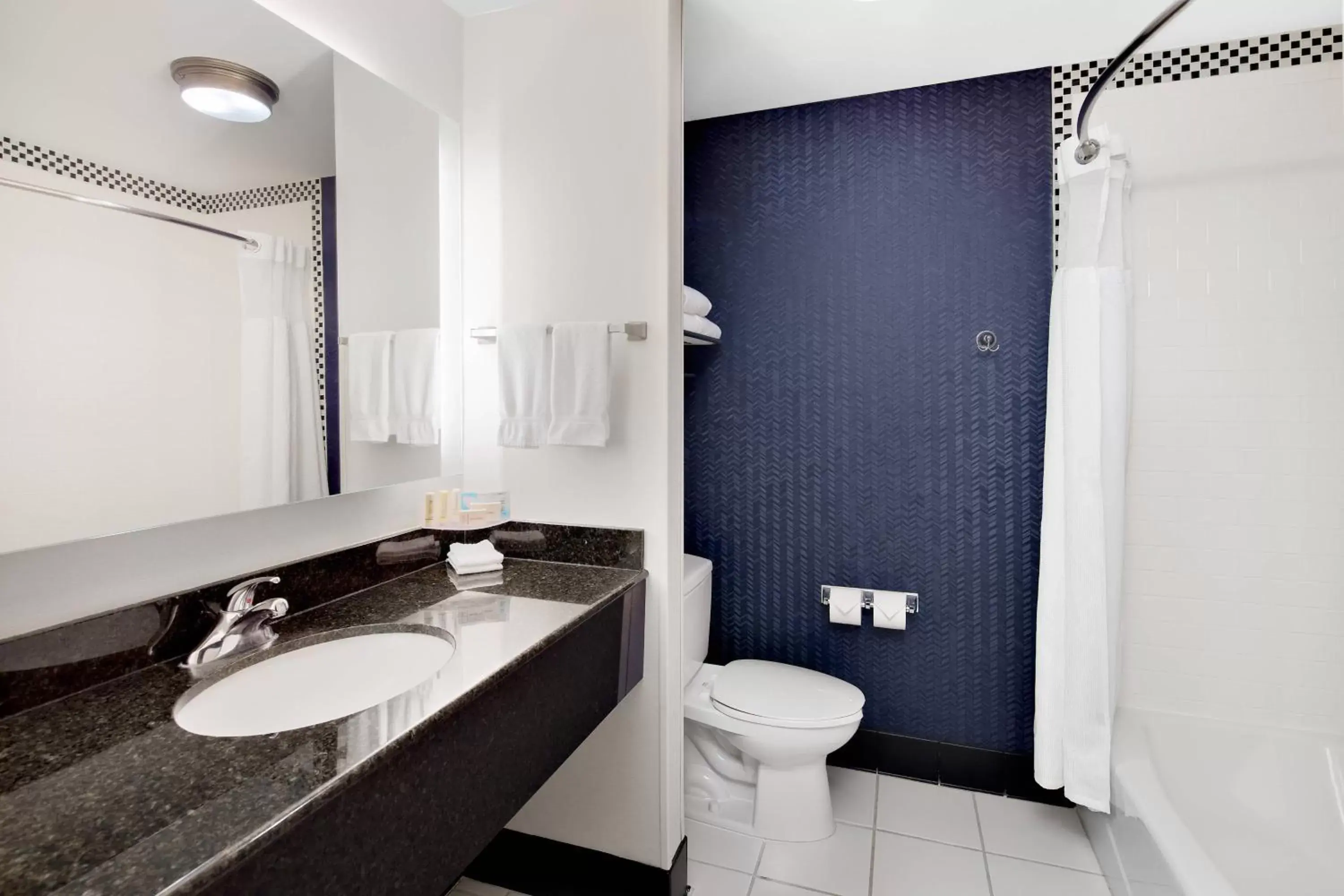 Bathroom in Fairfield Inn & Suites by Marriott Hobbs