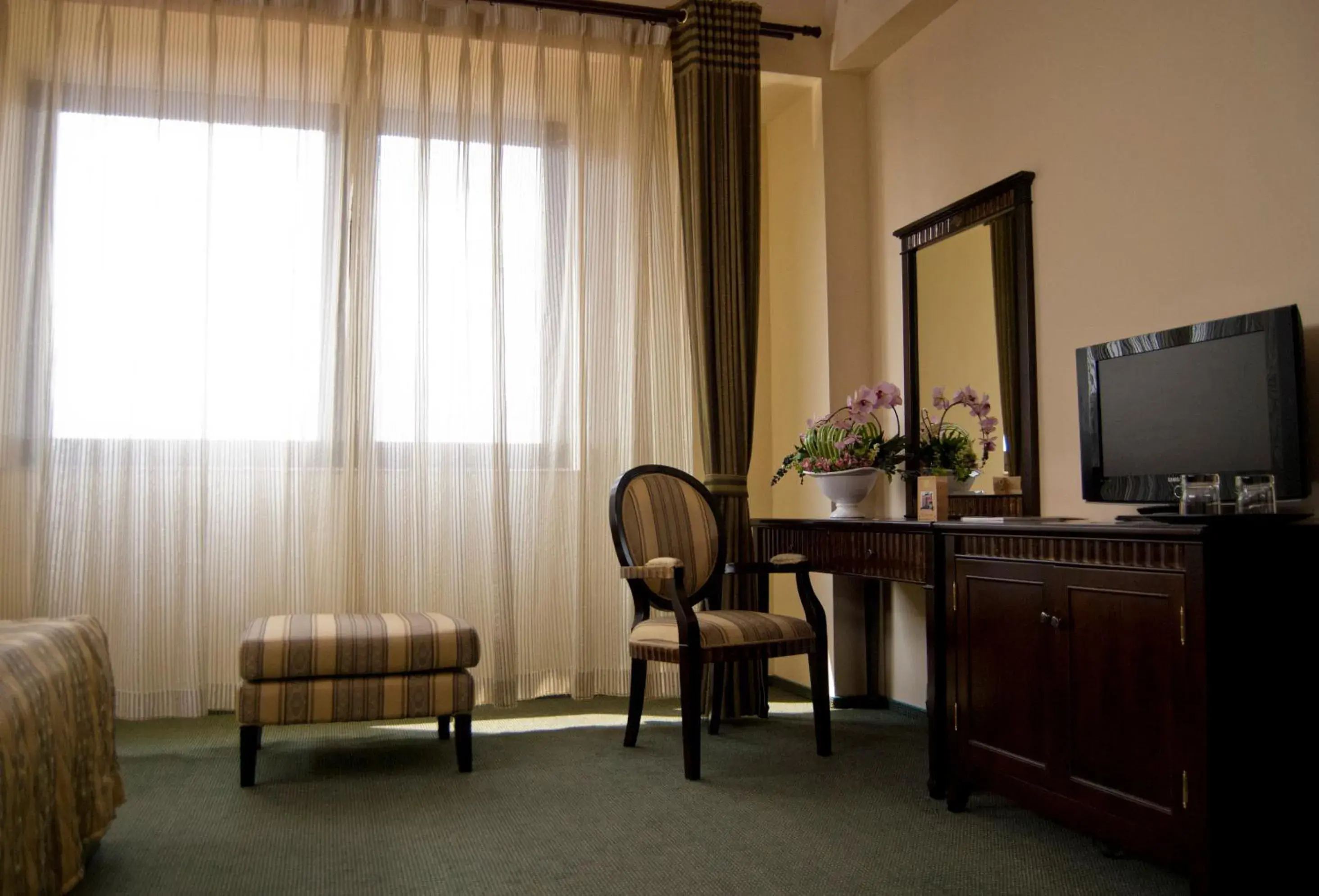 TV and multimedia, Seating Area in Hotel Tecadra