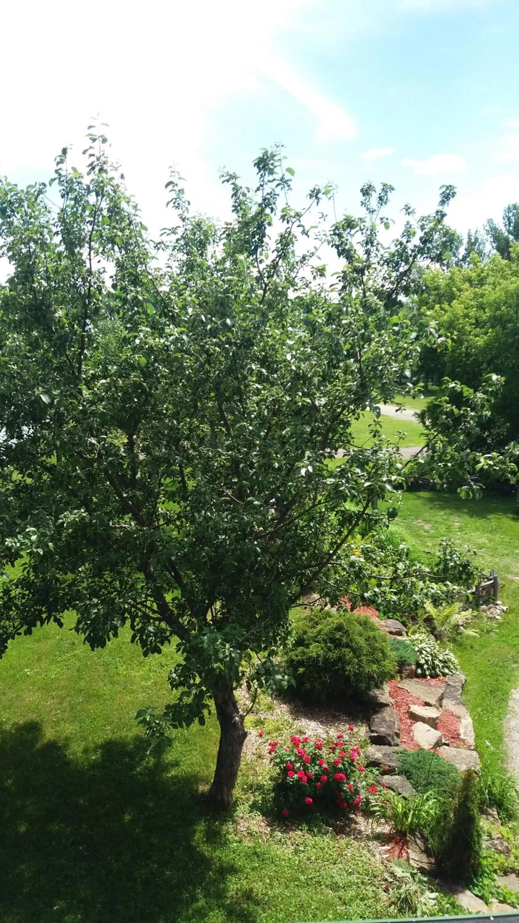 Other in Motel Shantik