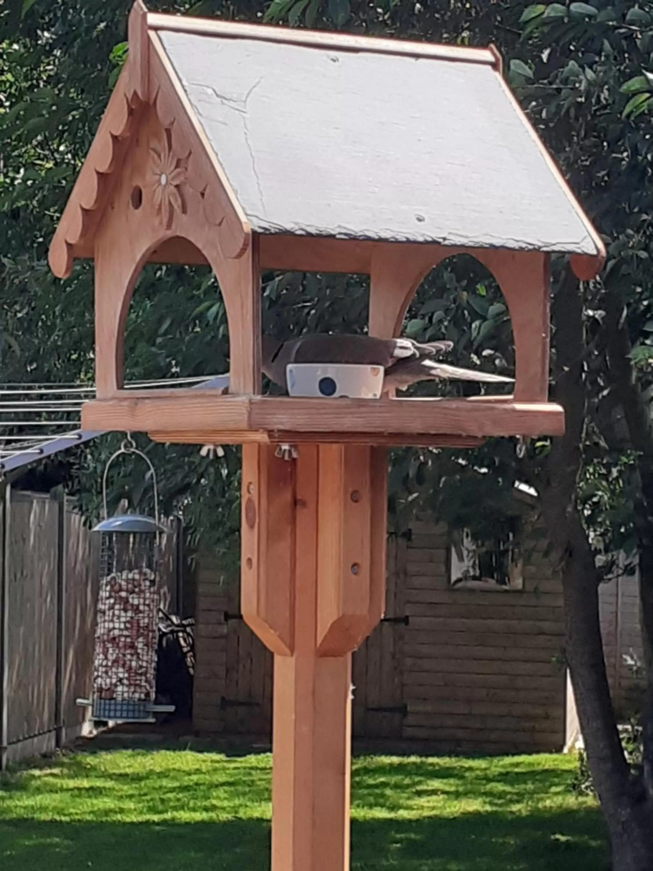 Garden in 1 ivy cottages the street norton subcourse NR146RS