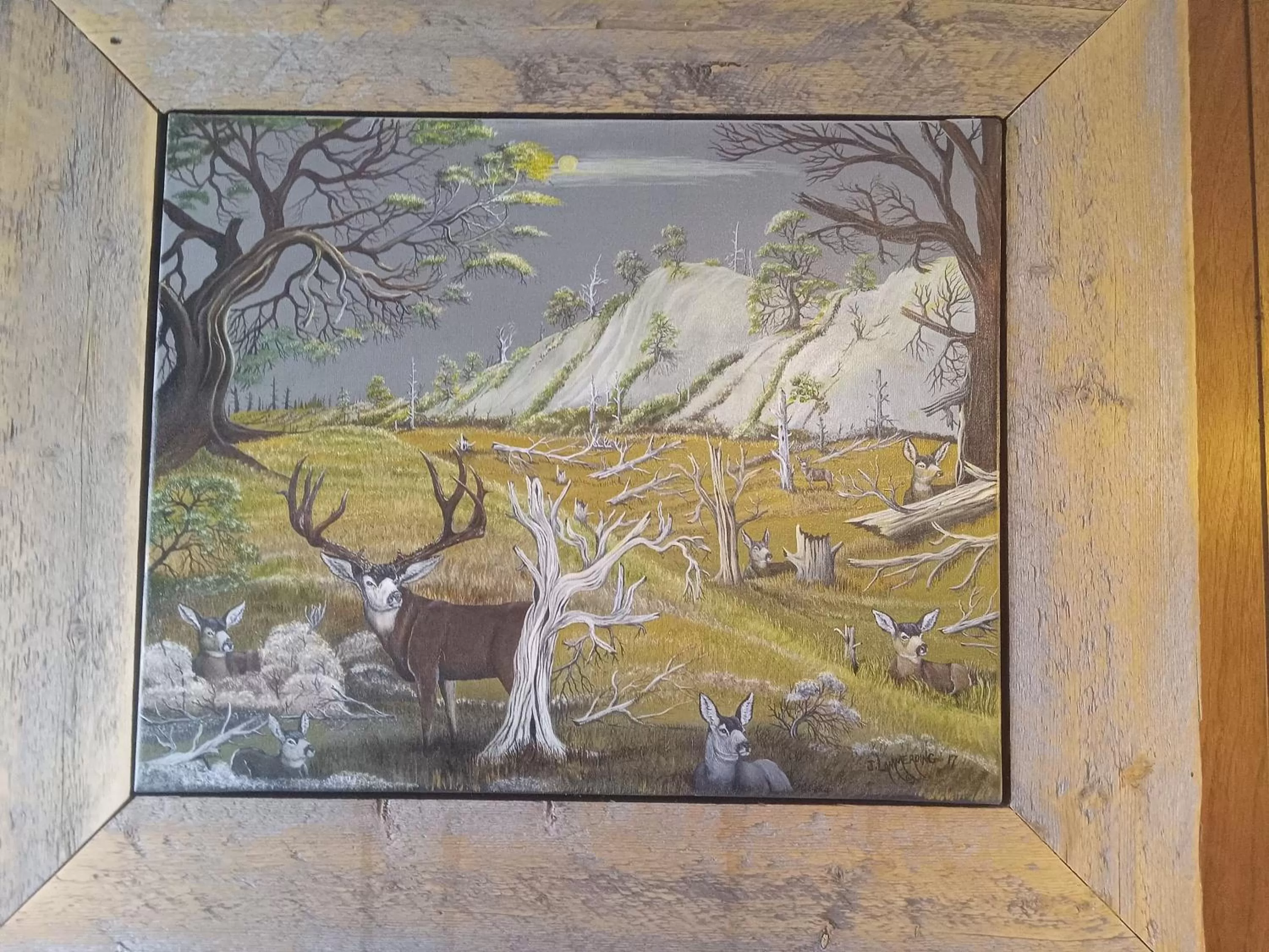 Natural landscape in Siesta Motel