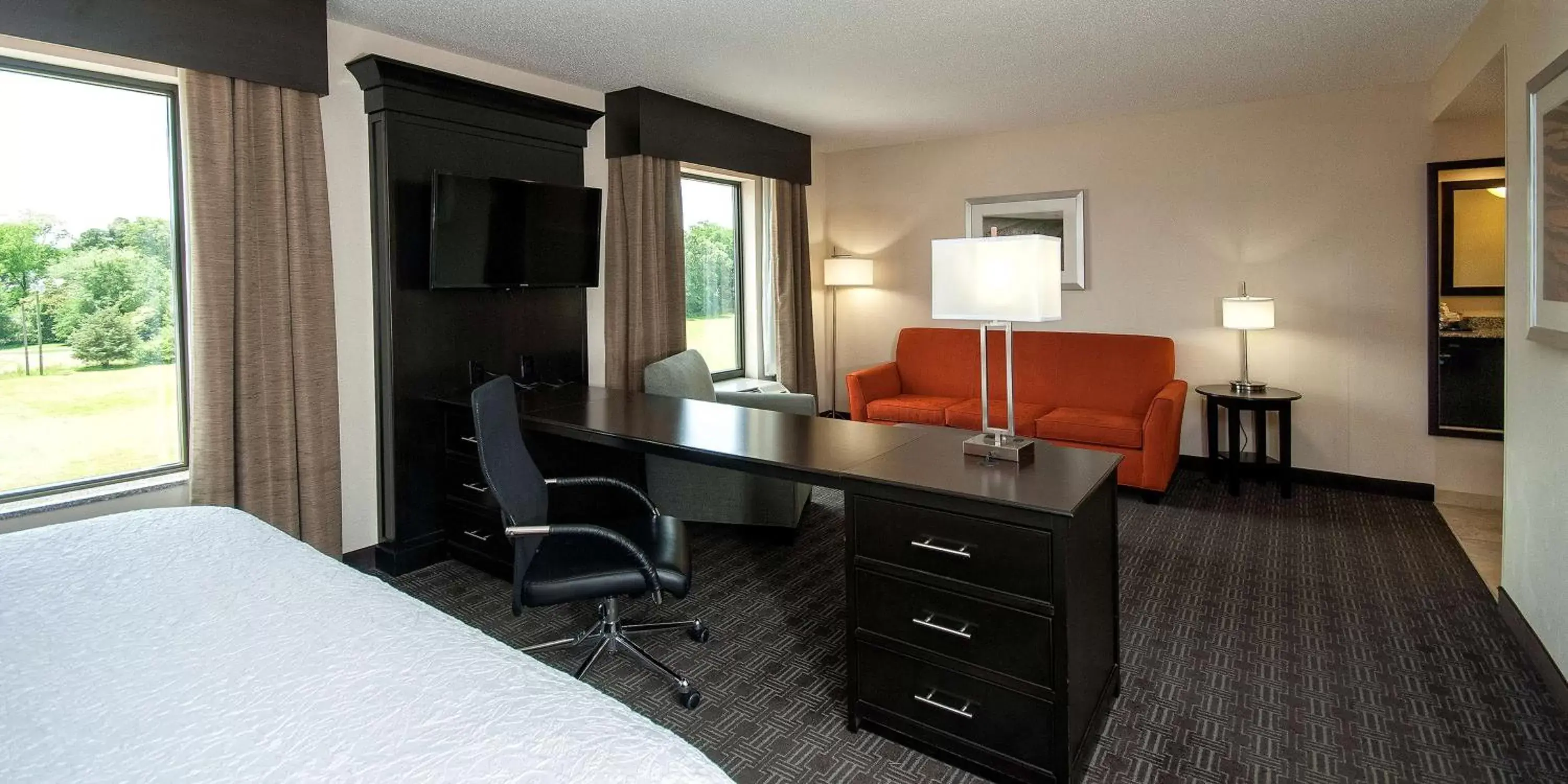 Bed, TV/Entertainment Center in Hampton Inn & Suites Seneca-Clemson Area