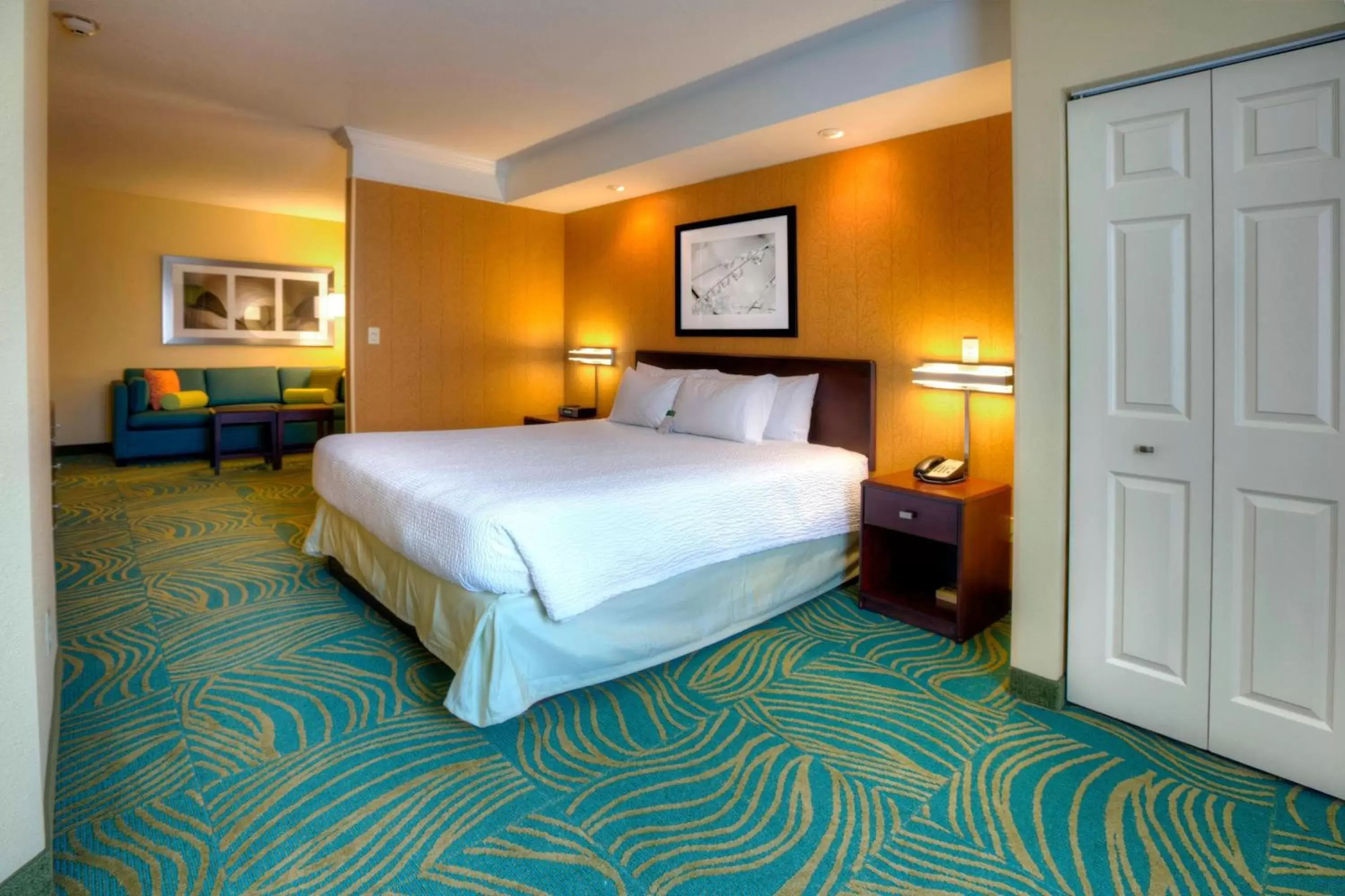Photo of the whole room, Bed in SpringHill Suites by Marriott - Tampa Brandon