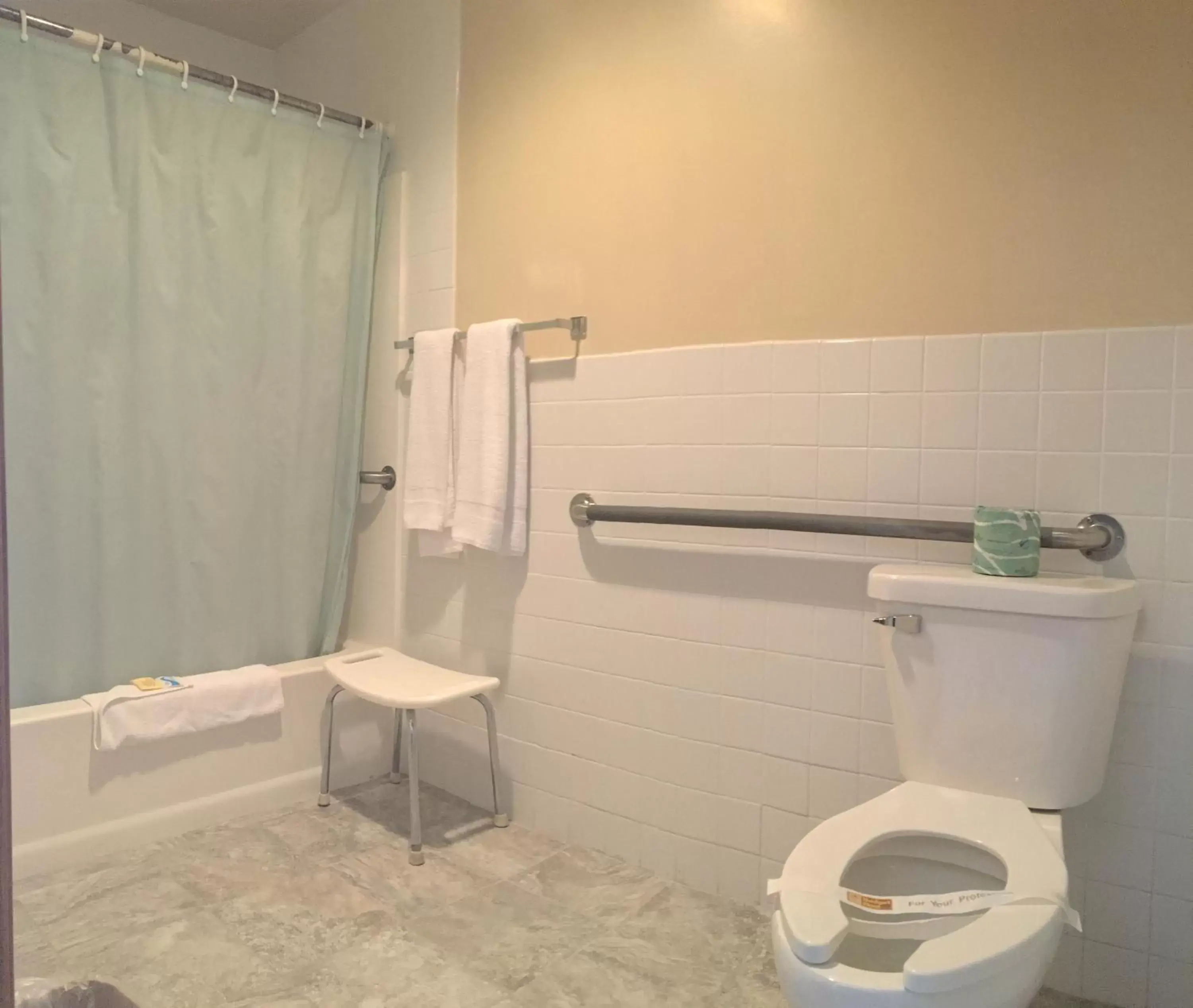 Shower, Bathroom in Budget Host Inn Fridley