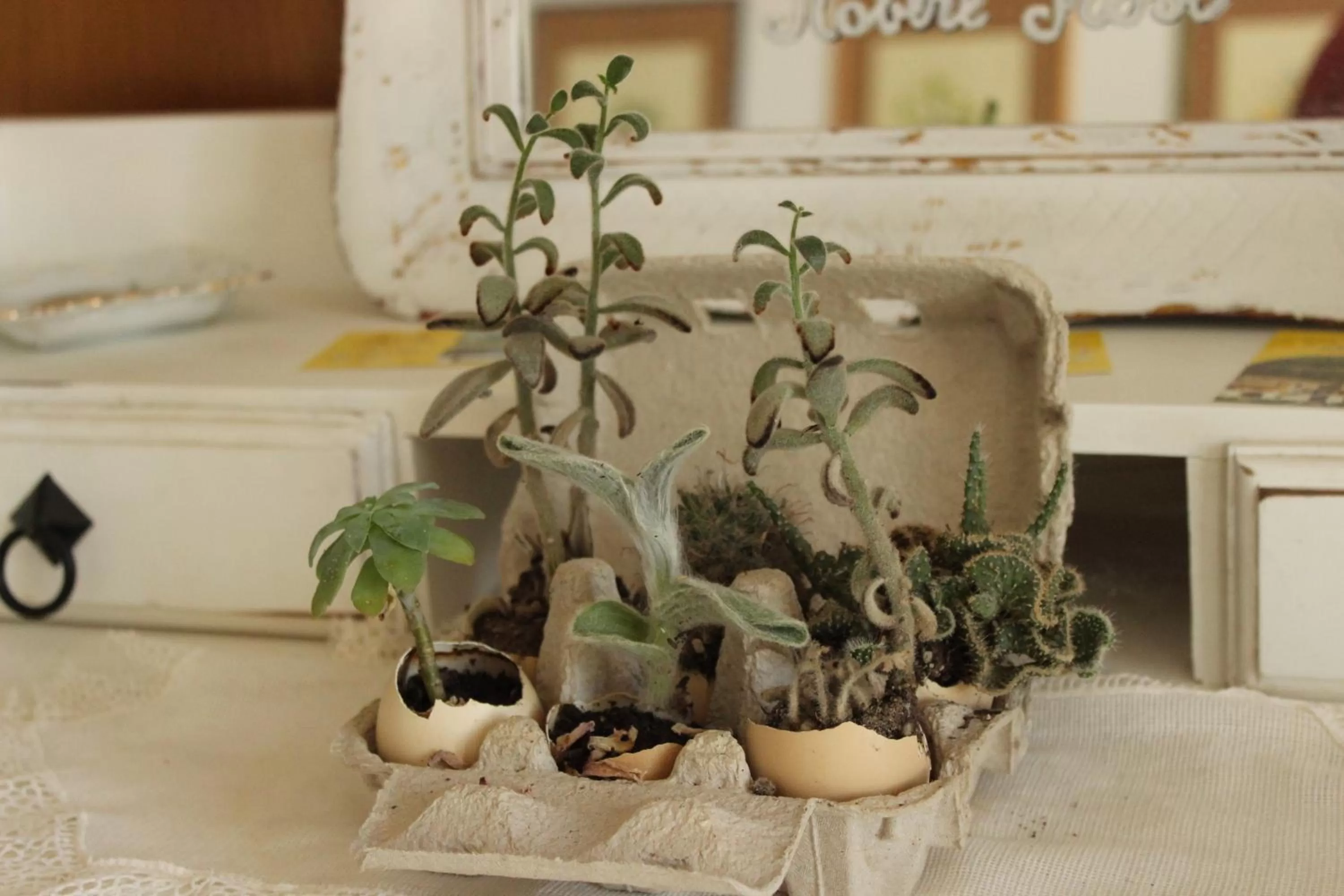 Decorative detail in Le Rocce