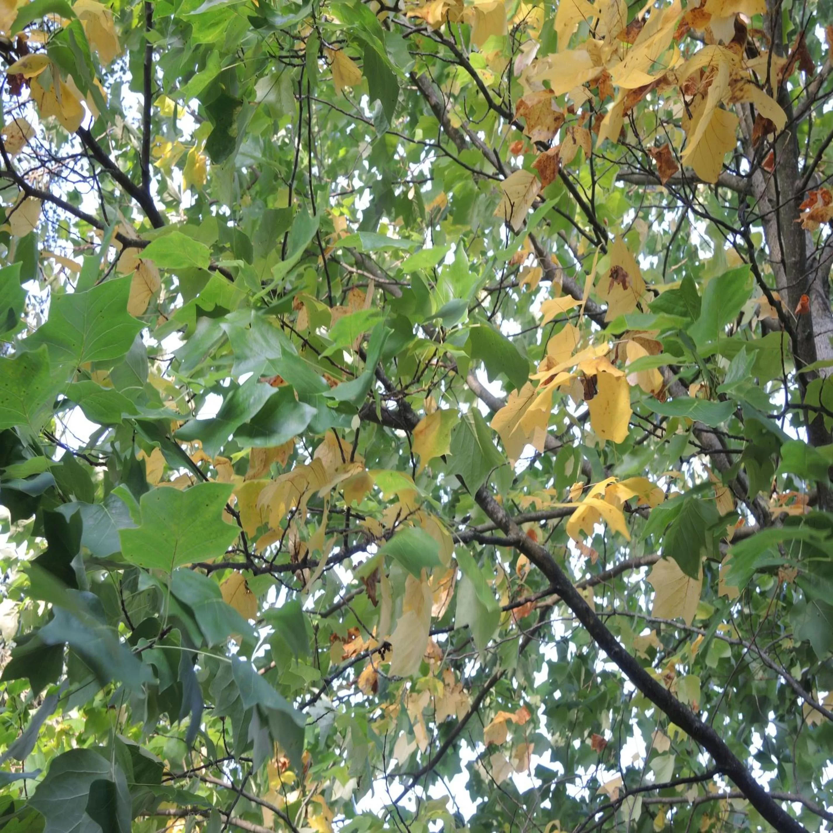 Autumn, Other Animals in Usedom Bike Hotel & Suites