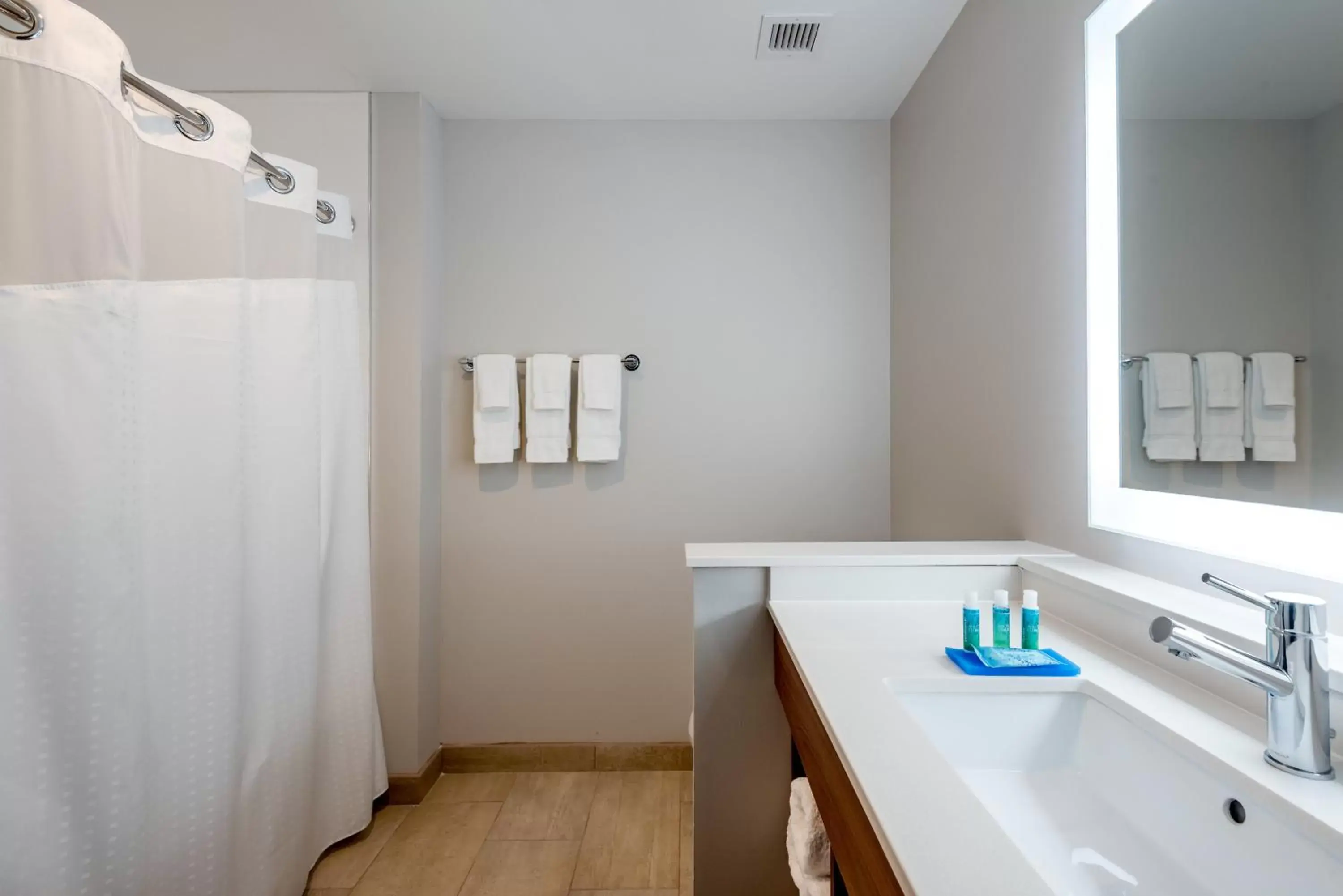 Bathroom in Holiday Inn Express & Suites - Punta Gorda, an IHG Hotel