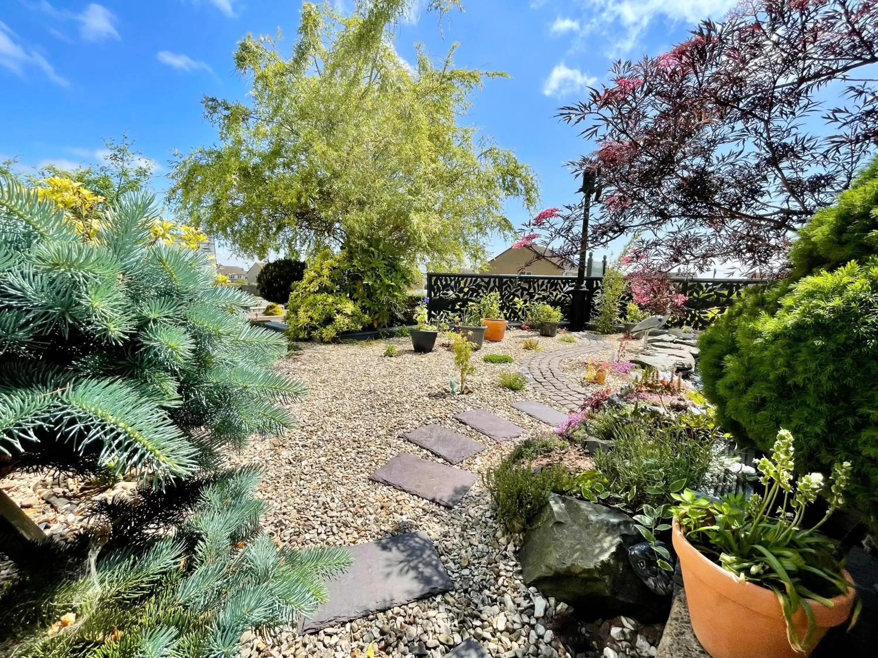 Garden in Bojangles Guest House