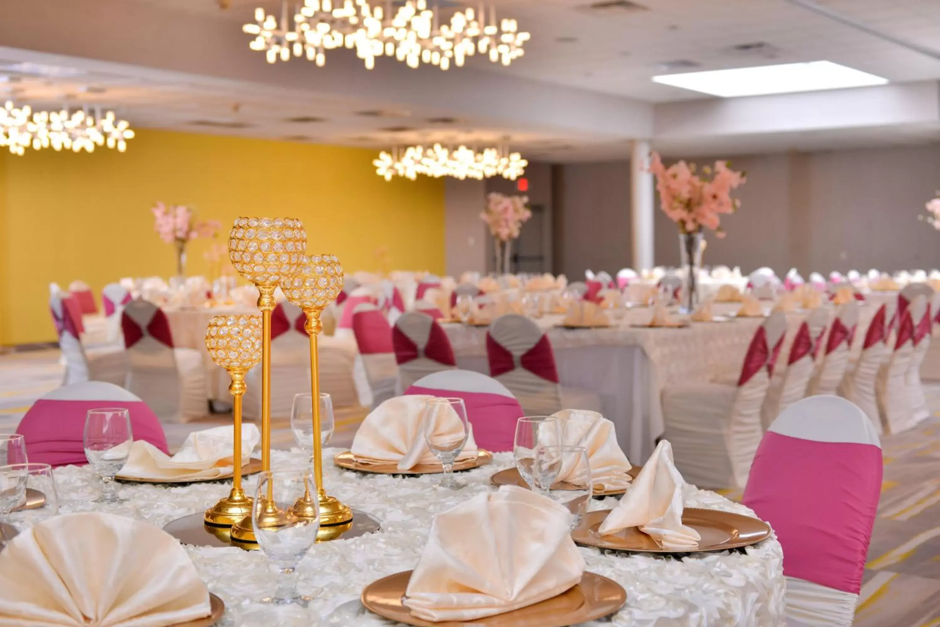 Banquet/Function facilities, Banquet Facilities in Holiday Inn Richardson, an IHG Hotel