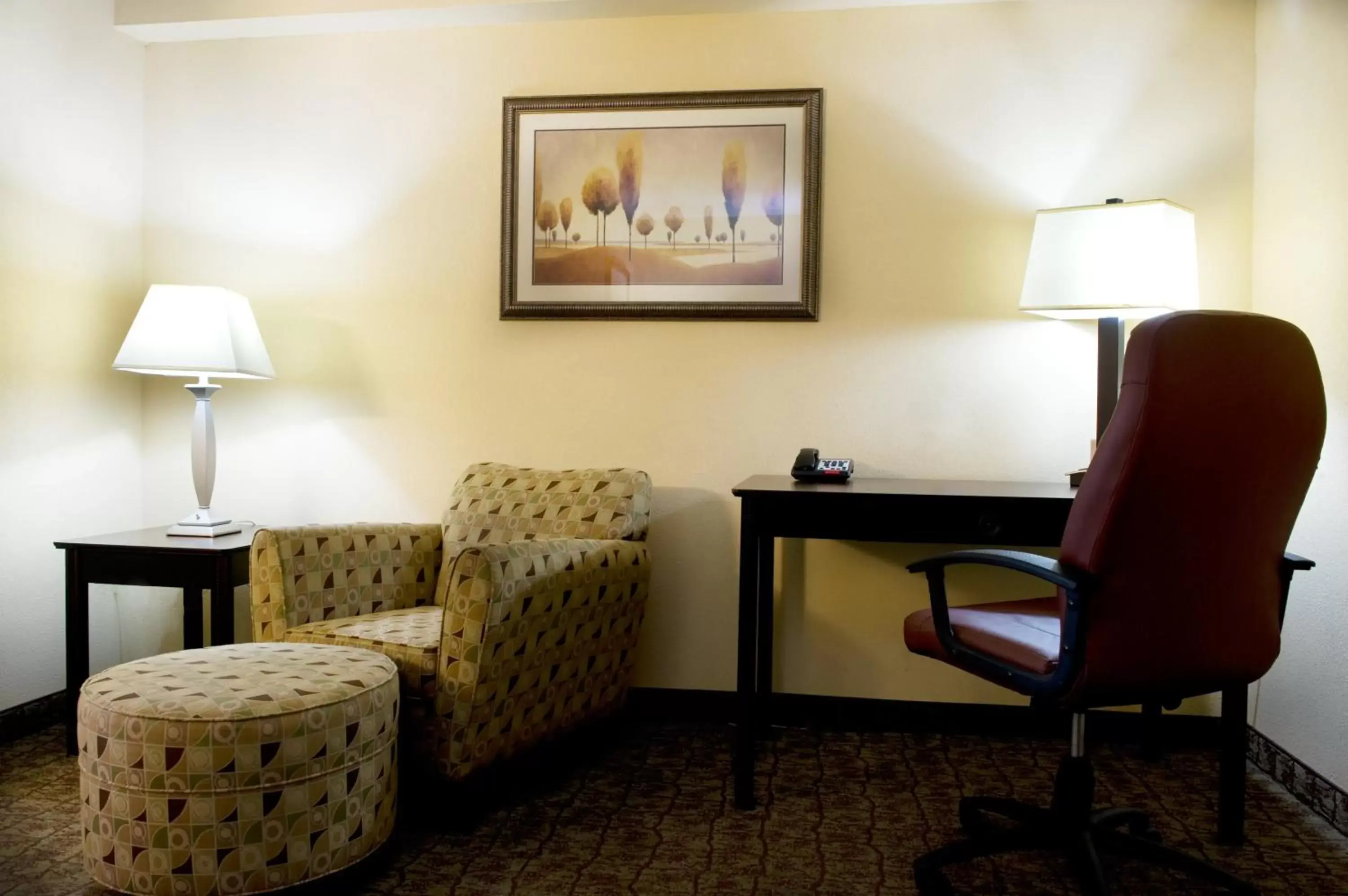 Photo of the whole room, Seating Area in Holiday Inn Express Hotel & Suites Dallas Fort Worth Airport South, an IHG Hotel