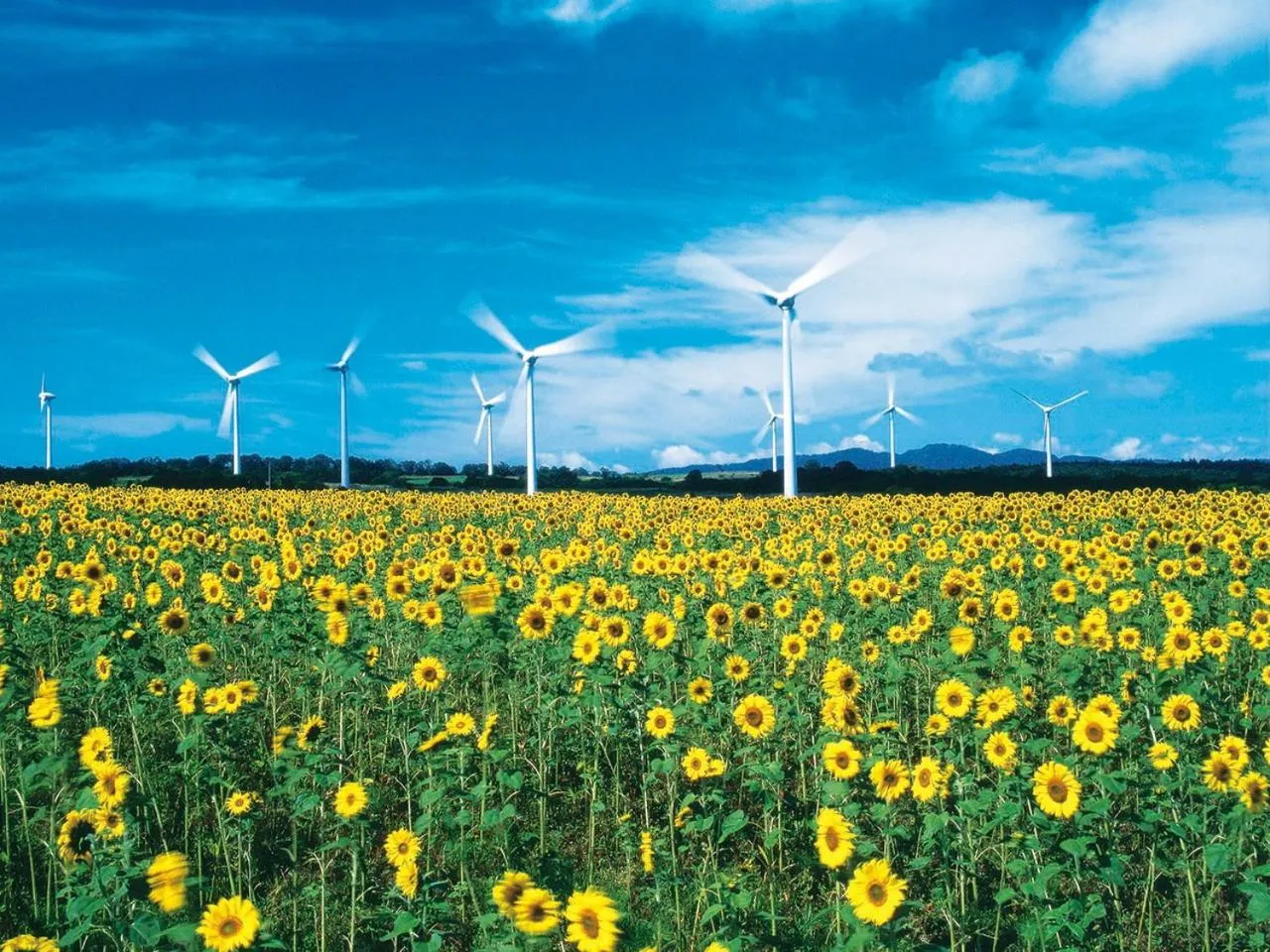 Nearby landmark in APA Hotel Koriyama Ekimae