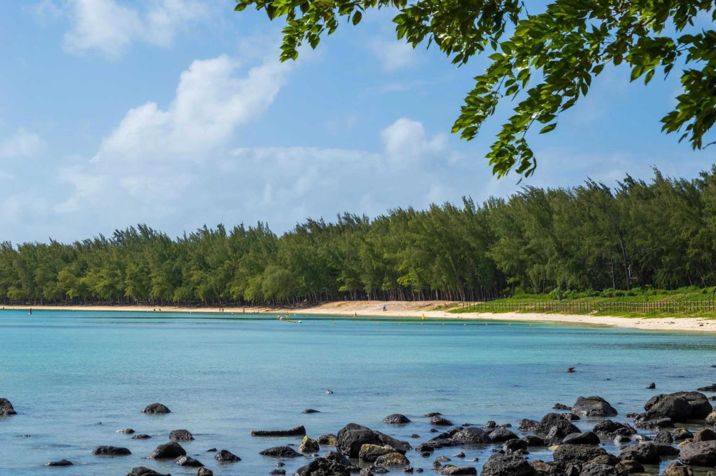 Beach in Flowers of Paradise